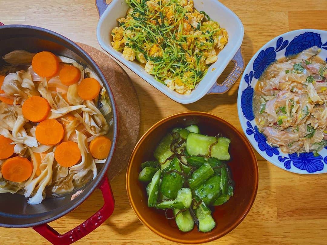 のインスタグラム：「* ・鮭と野菜のストウブ蒸し ・豆苗と豆腐のオイスター炒め ・鯛の薬味和え ・たたききゅうり #料理#献立#夕食#和食#大豆#自炊 #おうちごはん#ストウブ#おつまみ #魚料理#ちゃんまつ食堂」