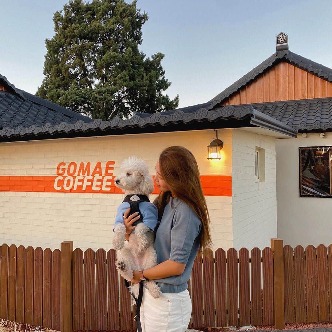 キム・ダヘのインスタグラム：「#제품협찬  가보고싶었던 카페 #퍼블리카 에서 선물받은 니트랑 가방 요즘 최애 가방 진짜 짐 엄청 많이 들어가져요 크크  율무랑 나름 커플룩입구 🧚🏻‍♂️🤍 #퍼플리카엑스#고매커피」