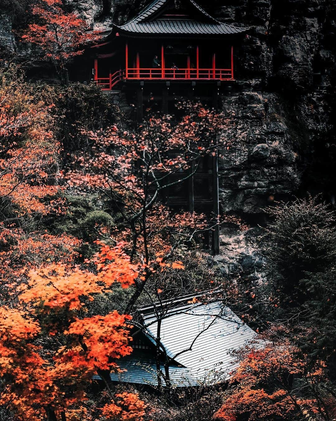 HAYAMI HANNAH ハナさん ど田舎さんのインスタグラム写真 - (HAYAMI HANNAH ハナさん ど田舎Instagram)「. Classic Style Of Japan 🍁🇯🇵 My hometown ☺️  ハッシュタグがわからず、、 小諸市布引観音堂の紅葉です🍁  #紅葉 #長野県   #hayamihannah  #moodygrams #StreetBobs #agameoftones #yourshotphotograher #lensbible #eclectic_shotz #streets_vision #street_ninjas #streetgrammers #nightphotography #way2ill #shotsdelight #urbanandstreet #darkmobs #all2epic #nightshooters #creativeoptic #shotzdelight #citykillerz #citygrammers #adorama  #Nagano #naganojapan  #visitjapanhknow  #Visitjapanjp #DiscoverHongKong  #sugoiijapan」11月8日 19時56分 - hayamihannah