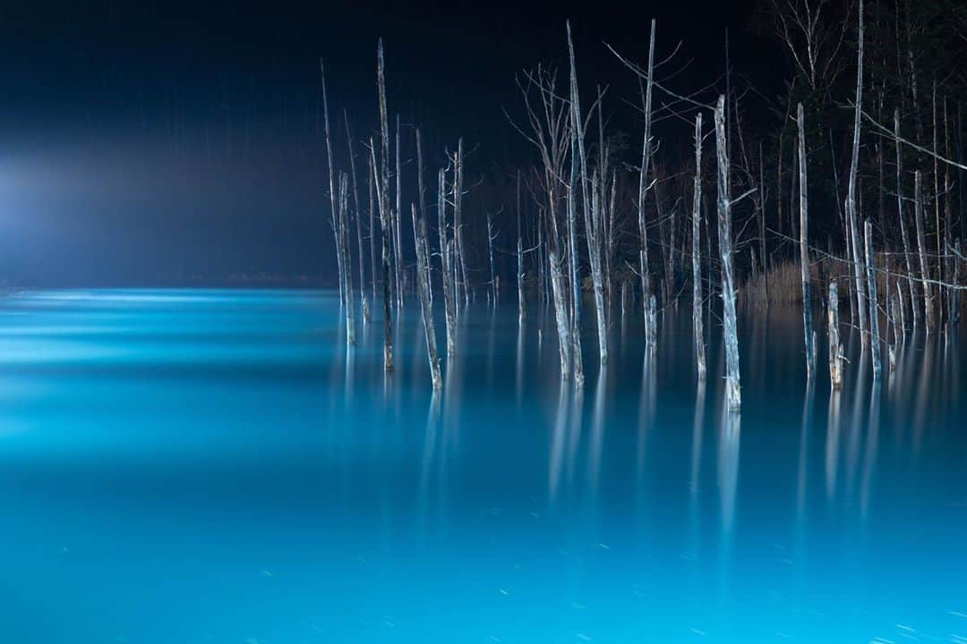 Hikaruのインスタグラム：「Blue pond. . . # 青い池 . . . #北海道 #raytrekフォトコンテスト2020 #レイトレッククリエイター #東京カメラ部 #tokyocameraclub #natgeo #sonyphotography #pashadelic #phot_jpn #photo_travelers #photostarttrip #total_nature_jpn #1x_japan #nipponpic #jpan_beautiful_days #北海道ミライノート　 #bestphoto_japan #japan_of_insta #bestphot_japan the #1x #kodak日本一周  #kodakと北海道」