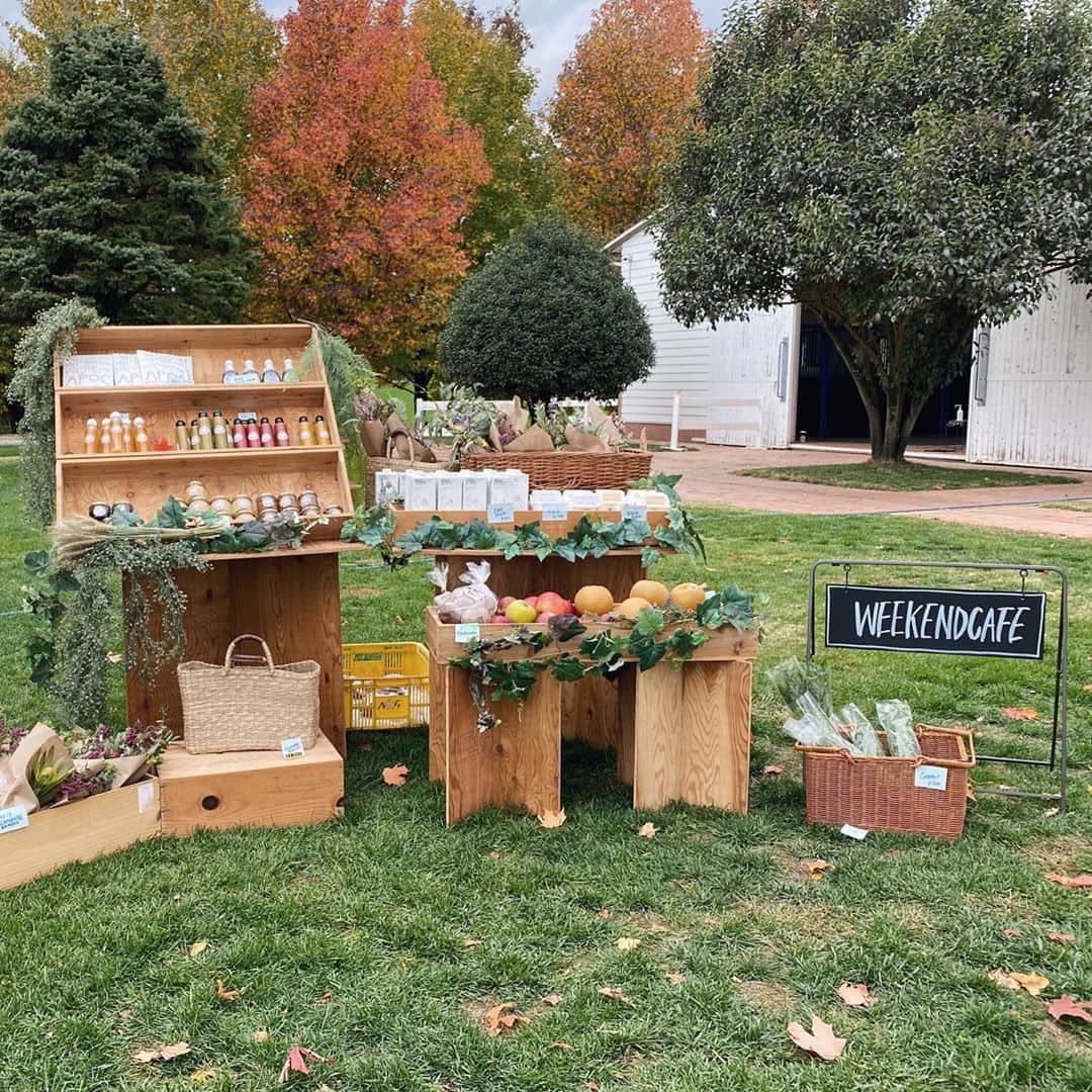 ikeda chizuruのグルメインスタ