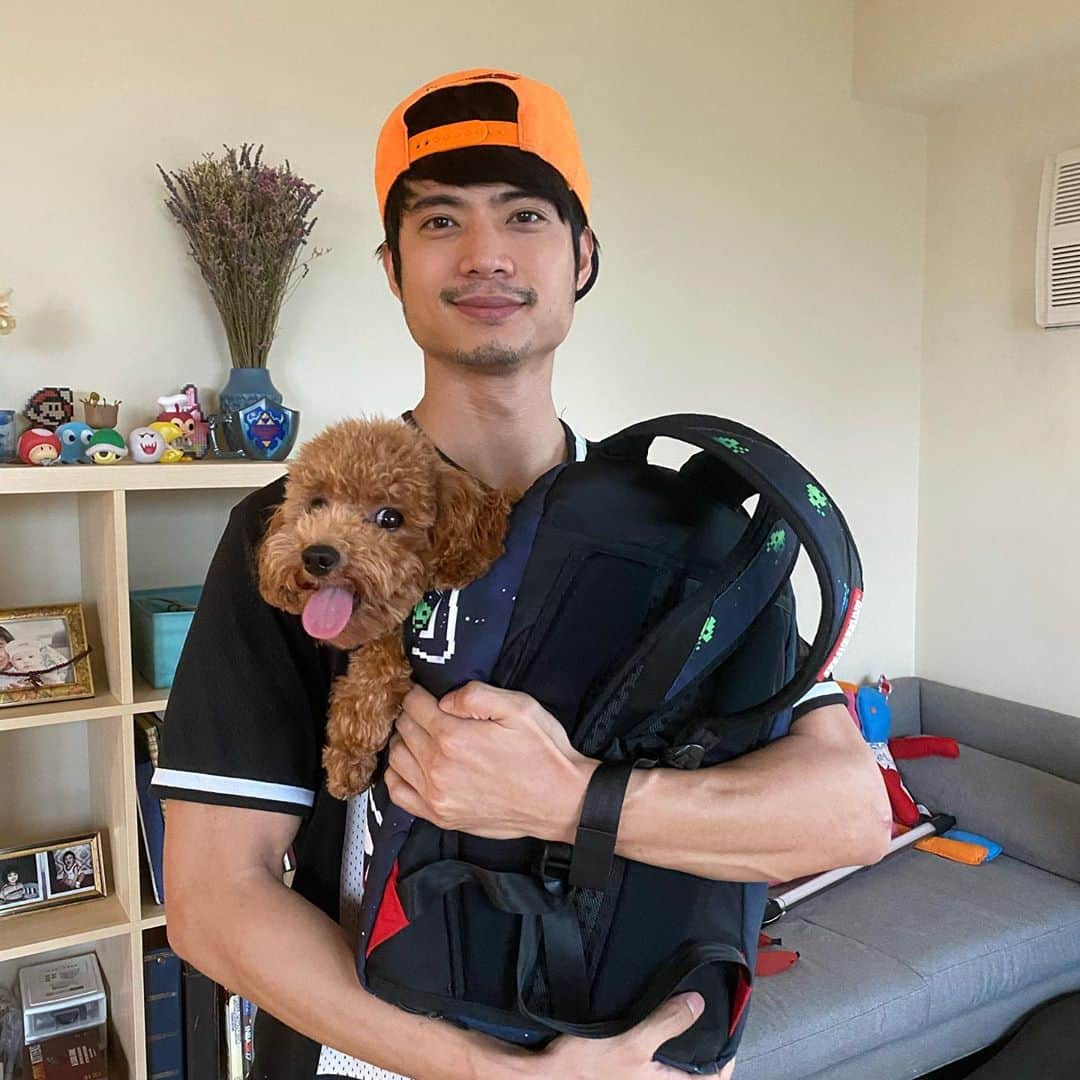 ミーガン・ヤングさんのインスタグラム写真 - (ミーガン・ヤングInstagram)「Cuteness overload from Soba Doba because it’s her 1st birthday! When Mikael first told me that he wanted to get a dog I was against the idea because I didn’t think we could take care of one! 🤭 But I’m so happy we finally pushed through and got Soba because I think she’s preparing us... to learn how to take care of others 😋 She had to stay at home while we’re on this work trip because pets aren’t allowed at our accommodation but we’ll be able to see her in 10 days!!! 🎂 Happy birthday Soba! And also happy birthday to my sister @lo_young hahaha labyu!!! #sobadobadaez #dogsofinstagram #toypoodle」11月8日 11時51分 - meganbata