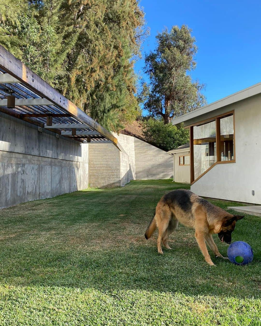 ロバート・パトリックさんのインスタグラム写真 - (ロバート・パトリックInstagram)「Today. Planning. Appreciating. Grateful. #architecture #clouds #germanshepherd #labradorretriever #travel #dog #dogs #whatsnext ????」11月8日 12時05分 - ripfighter