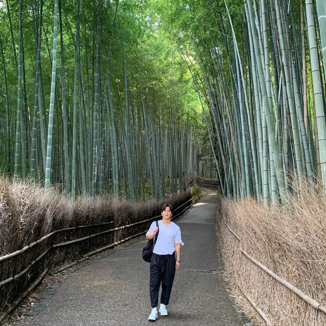 田中啓太さんのインスタグラム写真 - (田中啓太Instagram)「京都ep2 嵐山編 嵯峨野トロッコ列車🛤  保津川下り🏞  竹林🎋  世界遺産 天龍寺⛰  どこも素晴らしい。 YouTubeで紹介しているので是非ご覧下さい👀  ✔️YouTube https://youtu.be/90CkouRa8UE」11月8日 12時23分 - kt_keita_tanaka