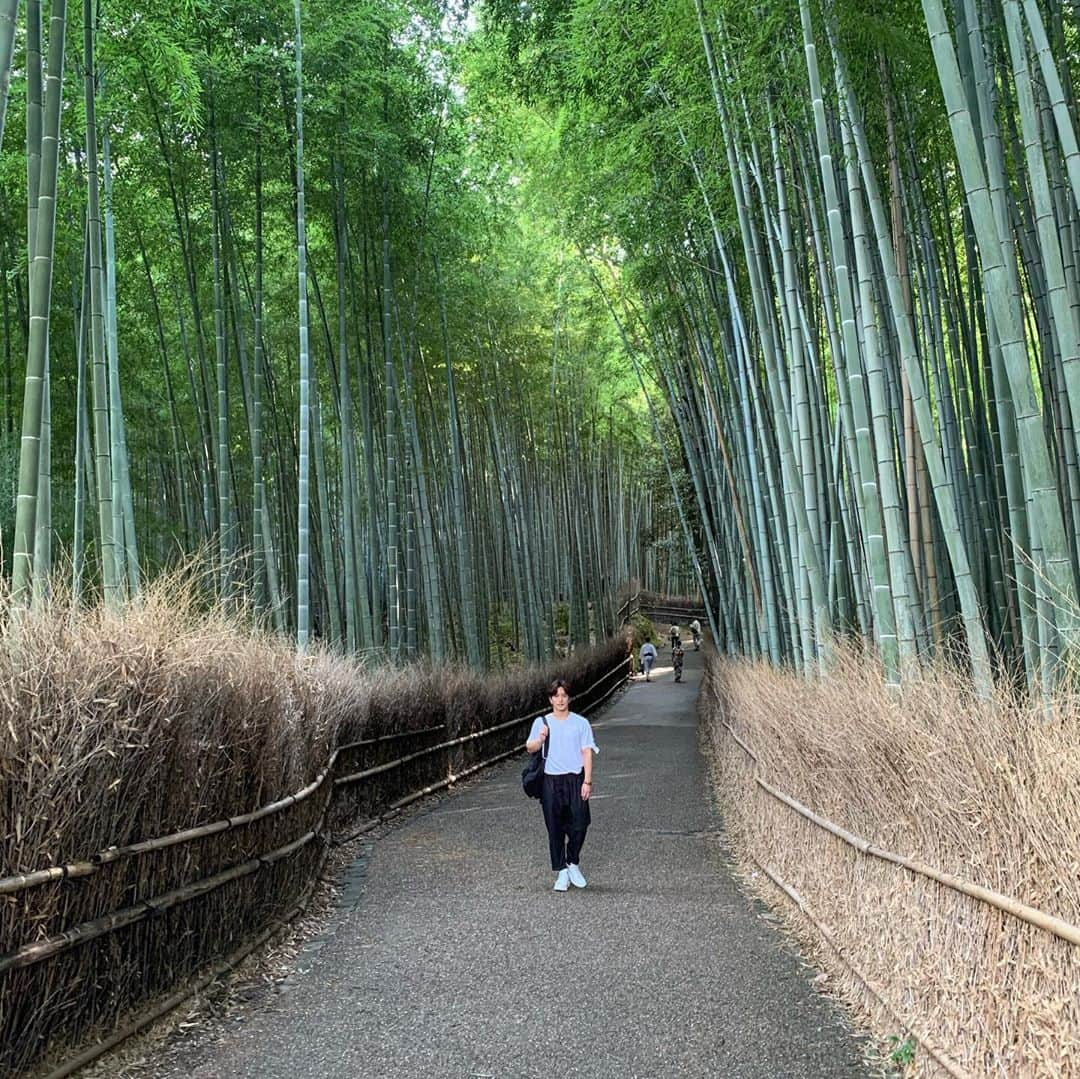 田中啓太さんのインスタグラム写真 - (田中啓太Instagram)「京都ep2 嵐山編 嵯峨野トロッコ列車🛤  保津川下り🏞  竹林🎋  世界遺産 天龍寺⛰  どこも素晴らしい。 YouTubeで紹介しているので是非ご覧下さい👀  ✔️YouTube https://youtu.be/90CkouRa8UE」11月8日 12時23分 - kt_keita_tanaka