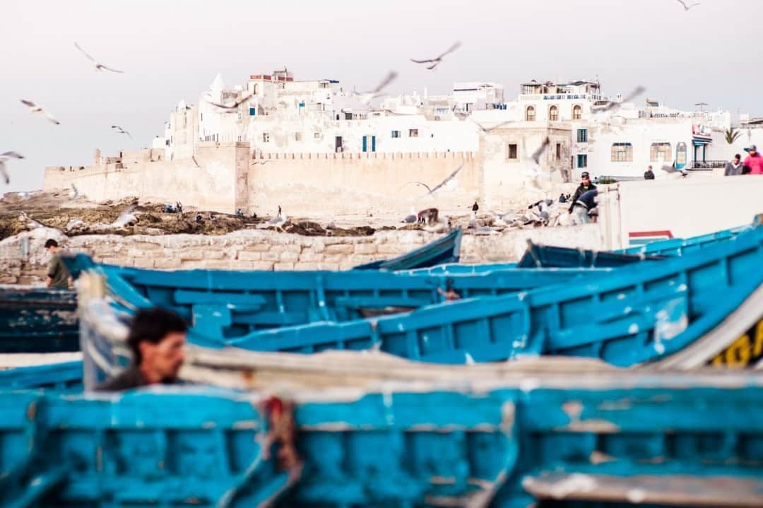 National Geographic Travelさんのインスタグラム写真 - (National Geographic TravelInstagram)「Photo by @MartinEdstrom / No visit to Morocco is complete without feeling the wind and salt air of Essaouira. This little port on the Atlantic coast feels different than the rest of Morocco and has deep historic roots. People have lived in this strategic location since prehistoric times, and it's no surprise that it has been coveted by everyone from the Romans to the Portuguese. Today it is a vibrant destination by the sea, without too much of the beach tourism you would find along the rest of the coast. Follow @MartinEdstrom for more images and stories of travel in Morocco. #morocco #africa #essaouira」11月8日 12時34分 - natgeotravel