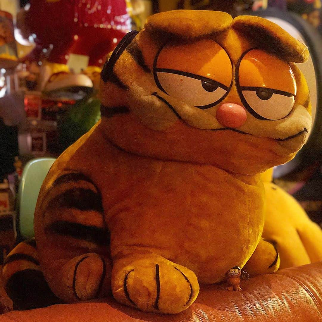 大川知英のインスタグラム：「81's GARFIELD Big Plush Doll🙀 @goldennuggets_japan さんで ひと目惚れしたFATなおガーフィ🤡 可愛いすぎてもう1匹欲しくなる🤤 後ろ姿もずっぽしまんじゅう🚬 ありがとうございました🙇‍♂️⭐️ upi-🤡❗️ #garfield #big#plushdoll #81s #vintage#goldennaggets #ひと目ぼれ#fat#cat#可愛いすぎる #デカイもの好き#vintage #後ろ姿ヤバし#amecajiboys #takatsubase #アメトイ部#captain」