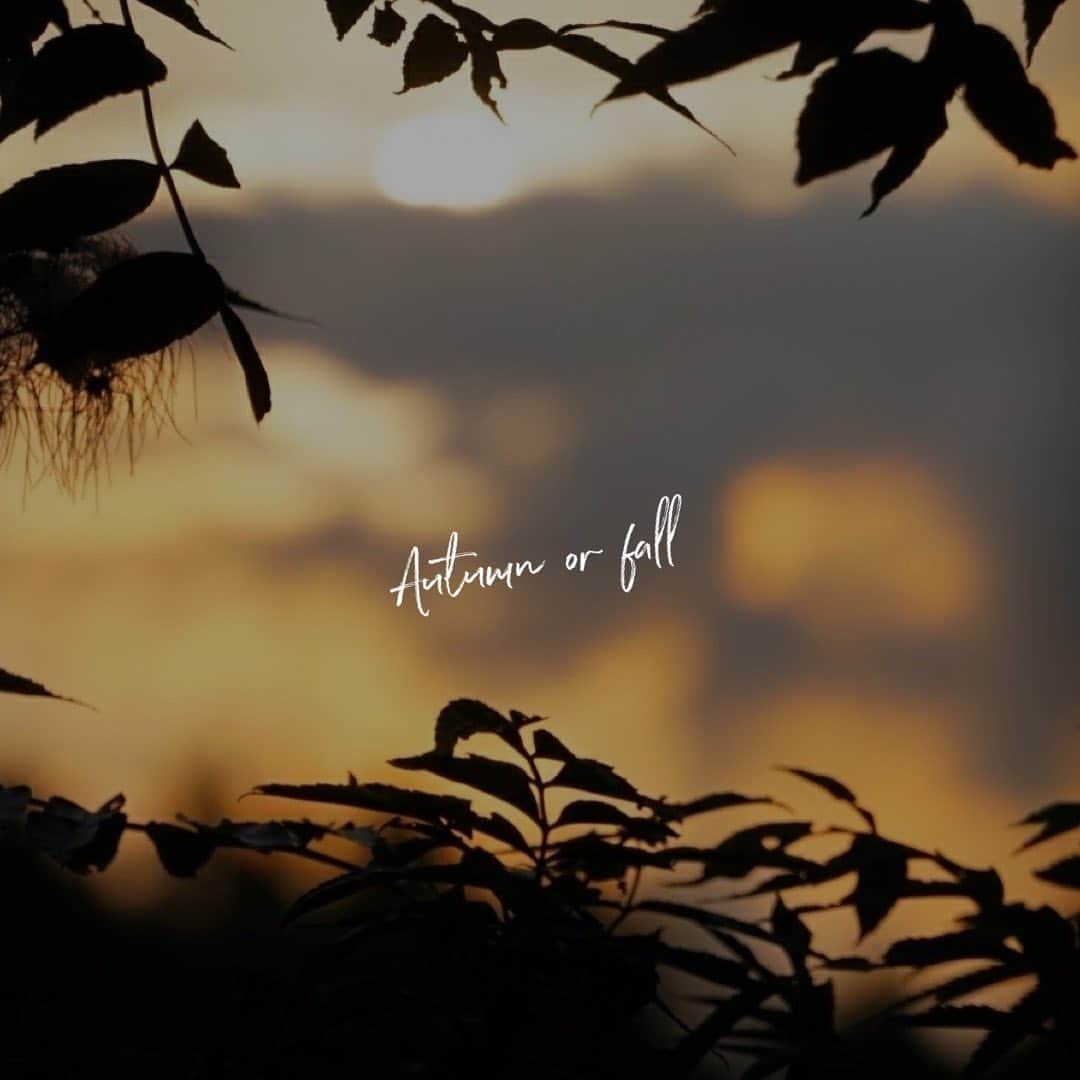 日下裕江さんのインスタグラム写真 - (日下裕江Instagram)「Are you Autumn or Fall?  #autumn #fall」11月8日 13時12分 - hiroe___h