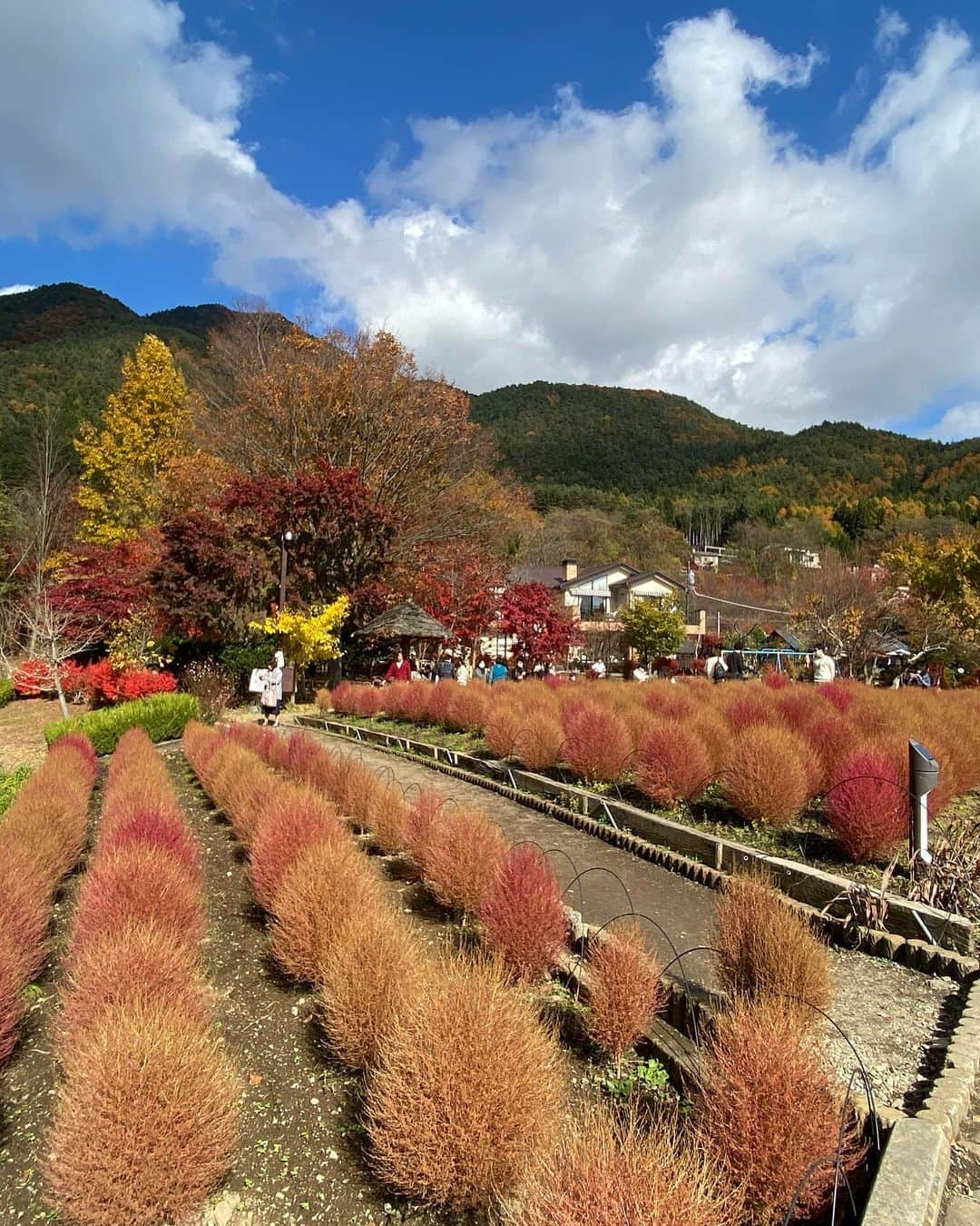 山口厚子さんのインスタグラム写真 - (山口厚子Instagram)「河口湖🍁 . . . 自然に触れたくなる季節。 . . #シール取り忘れた😅 #紅葉#🐊 #河口湖 #山梨県#女子旅 #秋#すっぴん旅」11月8日 13時28分 - atu_yaman