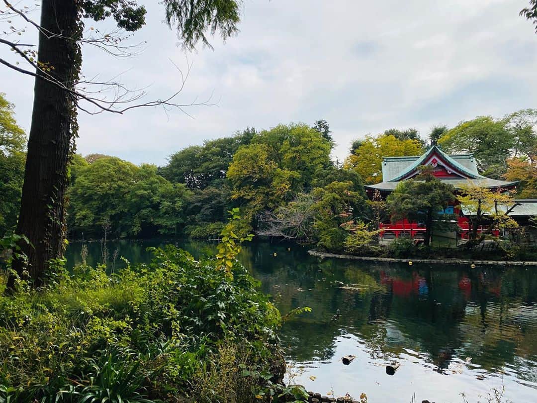 兼田恵さんのインスタグラム写真 - (兼田恵Instagram)「「いのがしら」じゃなくて「いのかしら」だということにやっと気づいたよ。 そんなはじめての井の頭公園。 景色がよくて綺麗なところでした✨ 動物のほりほりタイムも添えて。  #井の頭公園 #井の頭動物園 #井の頭弁天堂」11月8日 13時37分 - earl_megu