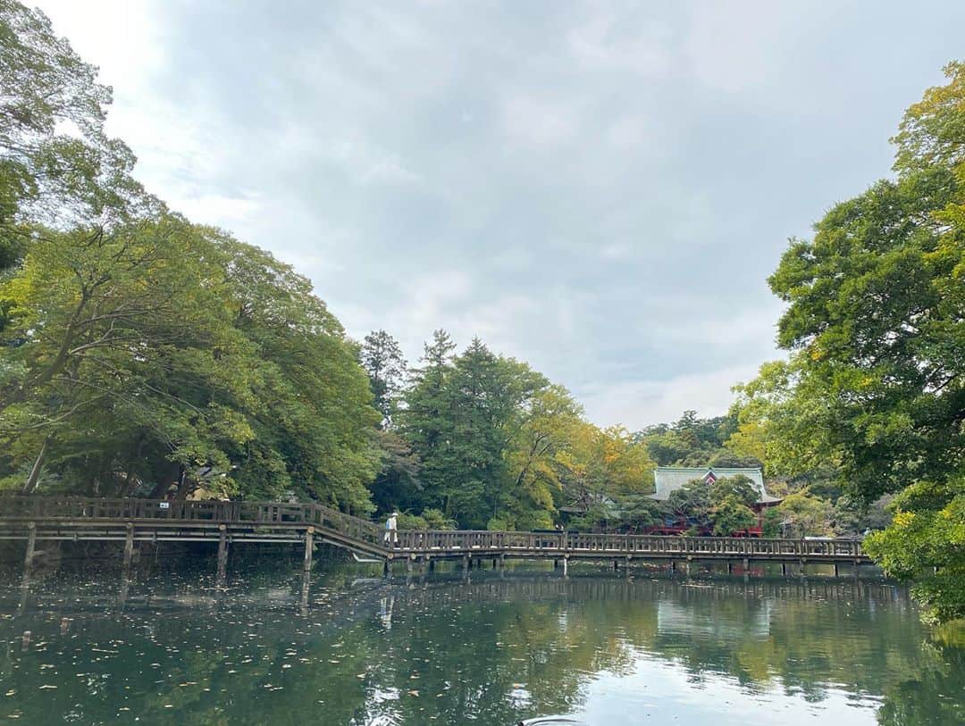 兼田恵さんのインスタグラム写真 - (兼田恵Instagram)「「いのがしら」じゃなくて「いのかしら」だということにやっと気づいたよ。 そんなはじめての井の頭公園。 景色がよくて綺麗なところでした✨ 動物のほりほりタイムも添えて。  #井の頭公園 #井の頭動物園 #井の頭弁天堂」11月8日 13時37分 - earl_megu