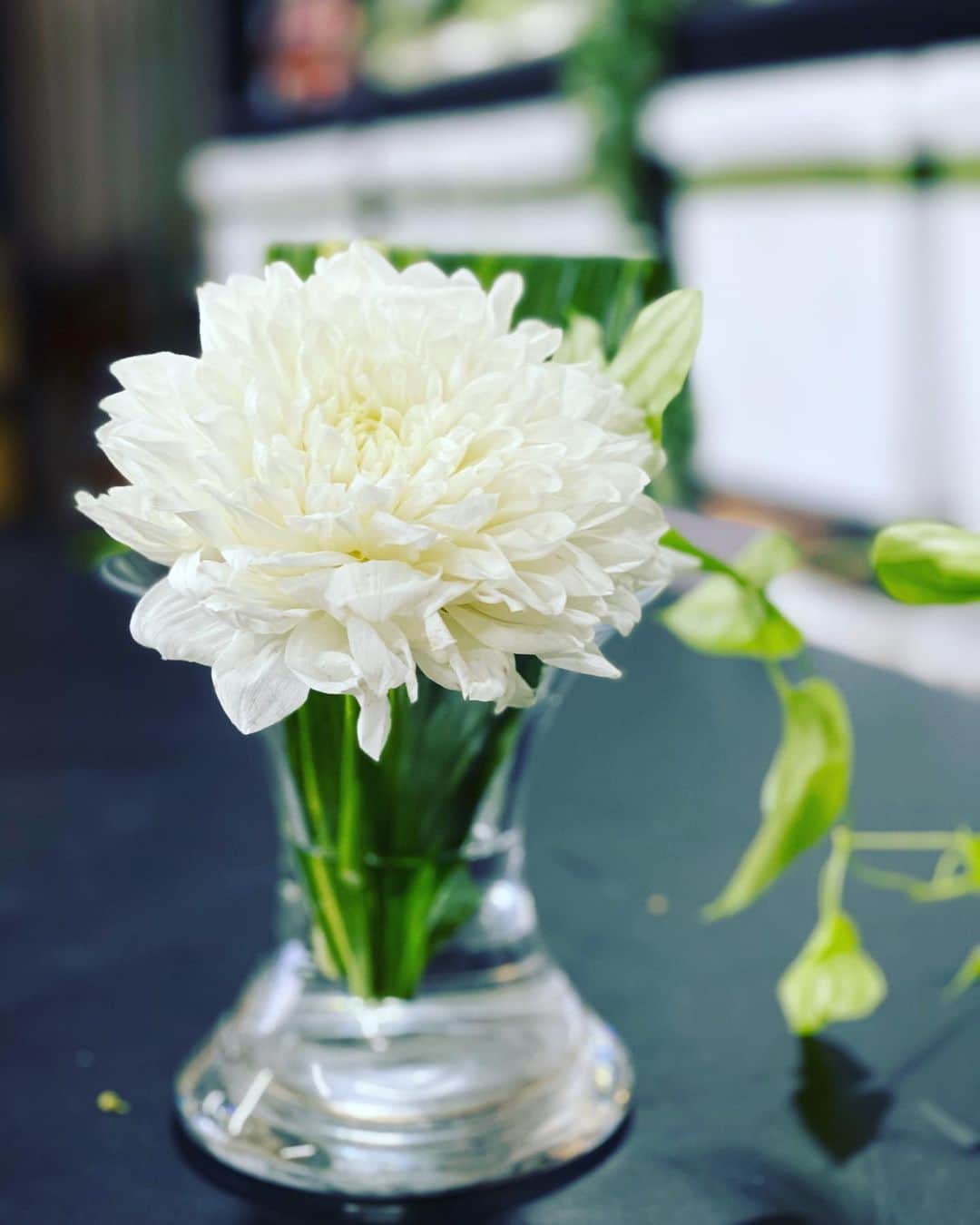 のインスタグラム：「【花で出会い】 花は色々な方との出会い 心の思いで幸運がやってくる！｜  今の気持ちをあなたの色にして下さい♪  #金運　#薔薇 #花風水　#花屋　#華道家 #花のある暮らし　#花のある生活　#花好き　#花好きな人と繋がりたい　#花のある風景　#花嫁ヘアメイク　#フラワーアレンジメント  #flower #flowers #flowerstagram #꽃　#占い　#Flowergram #ダリア」