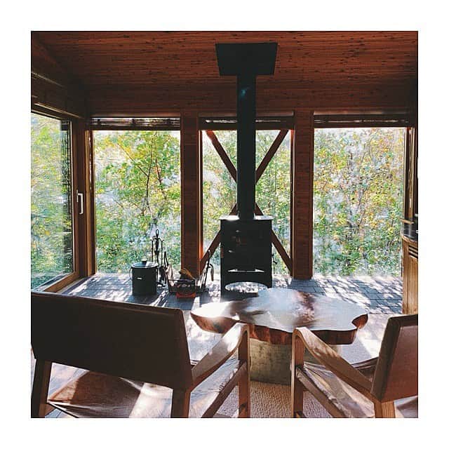 のインスタグラム：「癒されました🍁🍂🍁🍂 #goto#子連れ旅行」