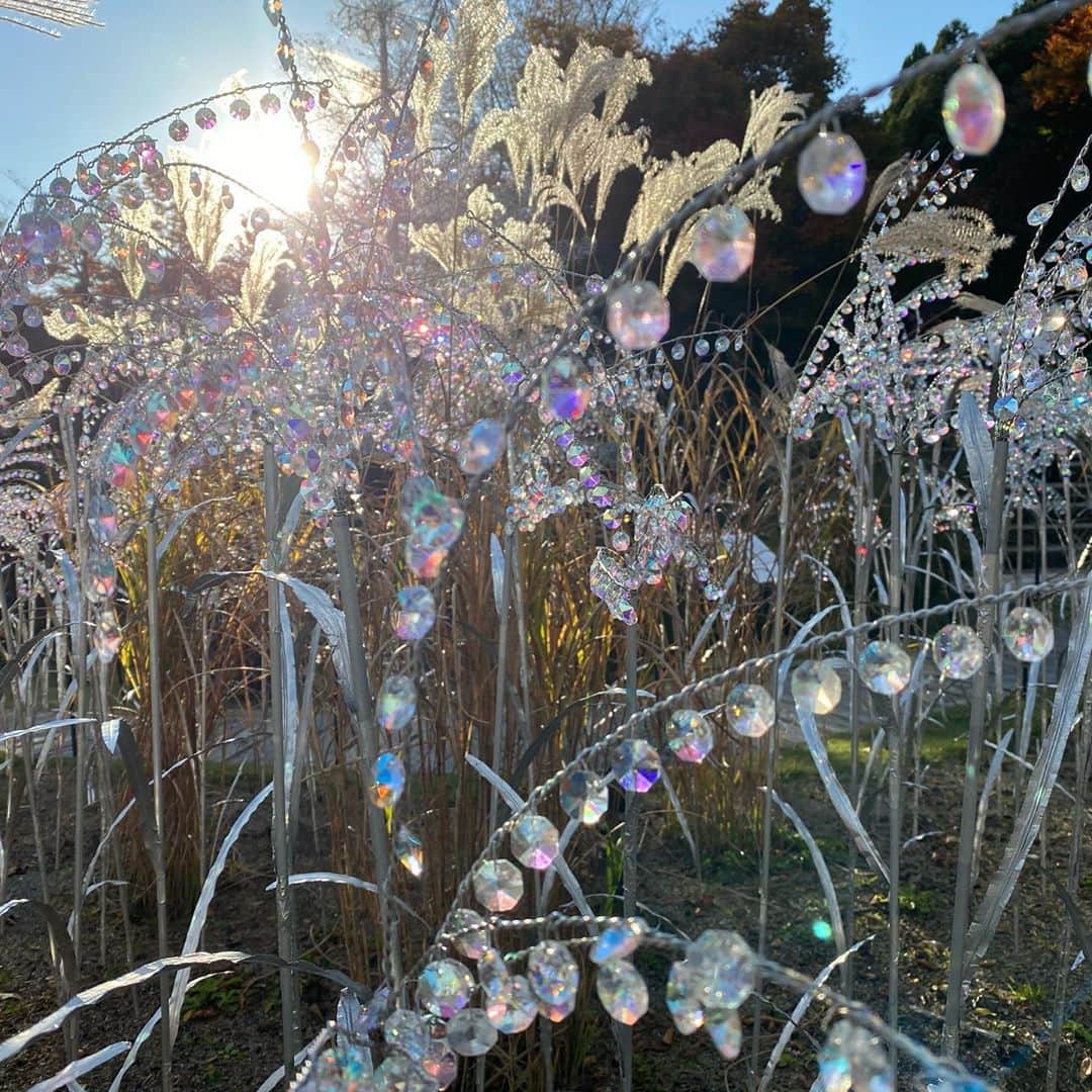 石川結菜のインスタグラム：「🌾💎 #autumn」