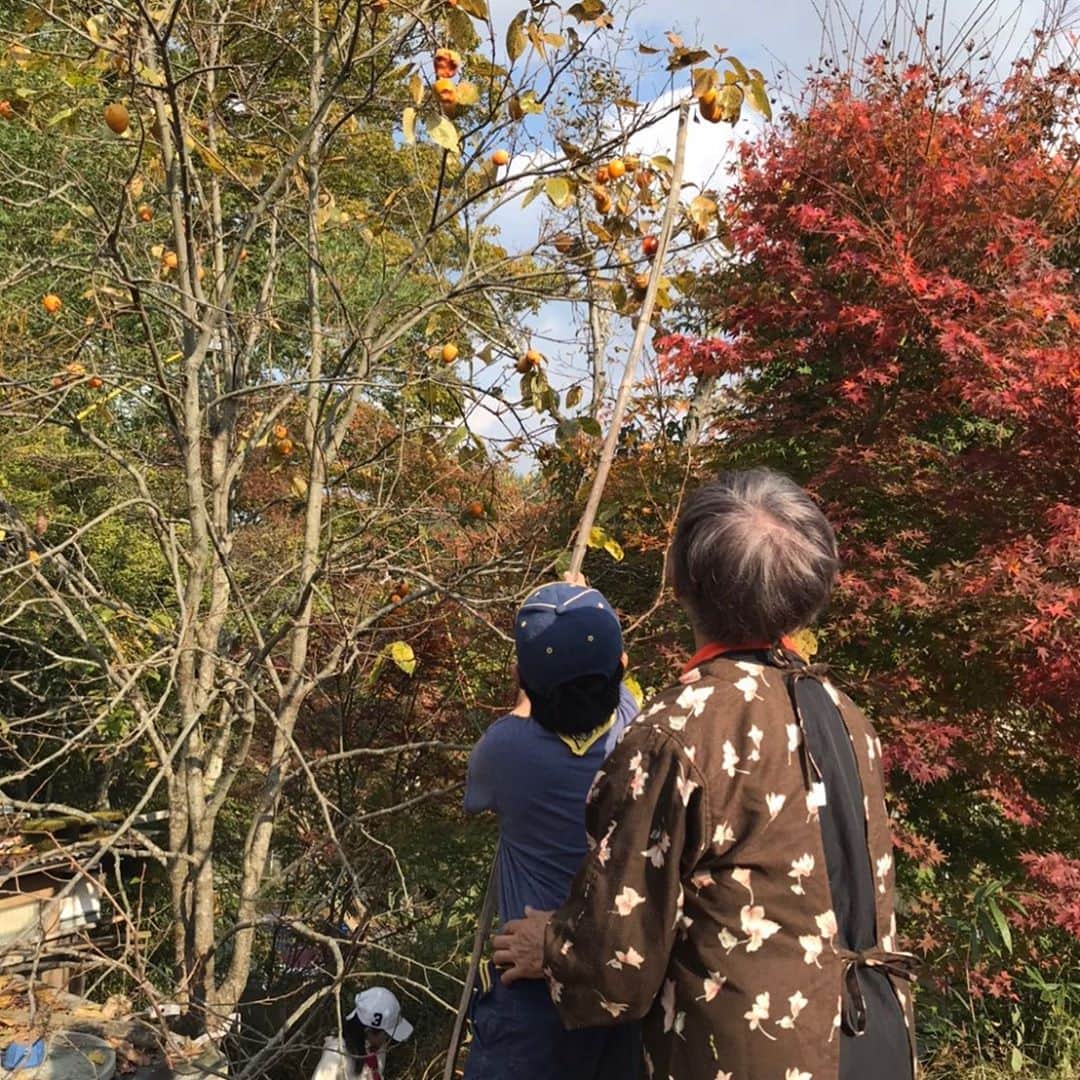 津田篤宏のインスタグラム：「息子ボーイスカウト中 嫁から送られてきた。ええ写真やないかい！ なんか畑使ってええらしいから、わたくし畑やろうかな。 #ボーイスカウト #いい経験 #すーすすー」