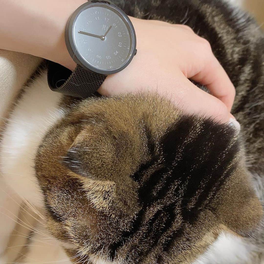 桜咲千依のインスタグラム：「MAVEN WATCHES の腕時計のご紹介です☺ シックな黒の腕時計✨ ベルトも文字盤も黒です✨ お洋服なんでも合わせやすいなと思って今回は黒でせめます❤  うにたんまったり(つ´∀｀)つ  クーポンコード記入で10%の割引もありますのでぜひご活用下さい🐱【ousakjz】  #マベン #マベンウォッチズ  #時計 #腕時計 #mavenwatches」
