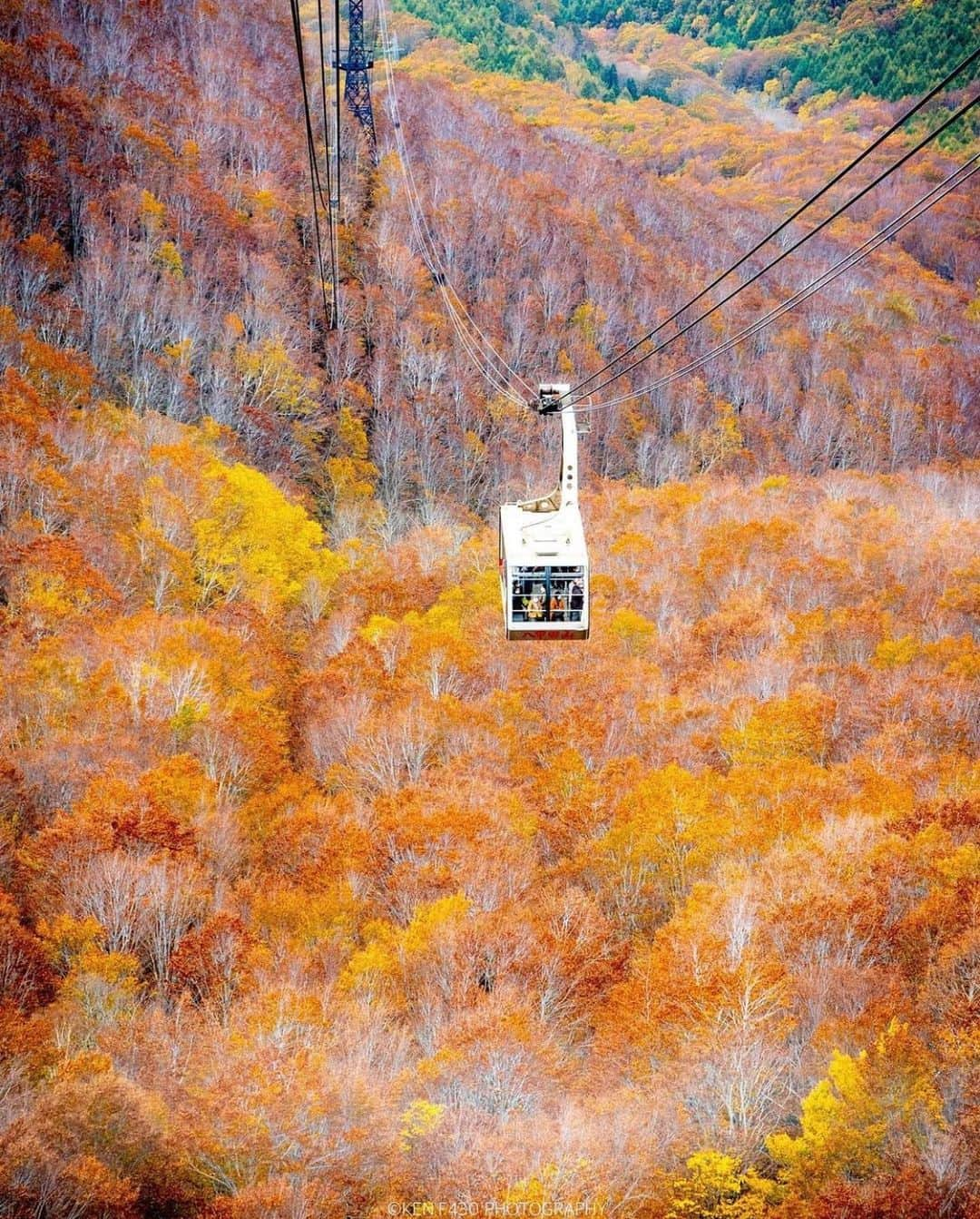 はなまっぷ❁日本の花風景さんのインスタグラム写真 - (はなまっぷ❁日本の花風景Instagram)「🍂🍁はなまっぷの紅葉まつり🍁🍂 * @ken.f430 さんの 紅葉に花まるを💮 * 色とりどりに染まる美しい日本の秋をありがとうございます😊🍁🍂 * 青森　#八甲田山 Mt.Hakkoda Aomori Pref. * 見頃を過ぎている場所もご紹介しています。 お出かけの際はHP等で最新の情報をご確認くださいね🙏🍁 * 🍁•••🍂•••🍁•••🍂•••🍁•••🍂 * 🍂🍁はなまっぷの紅葉まつり🍁🍂 〜紅葉の季節が終わる頃まで #はなまっぷ  のタグの中から、紅葉のお写真をご紹介させていただきます。期間中はランダムに、複数枚投稿でもご紹介させていただく場合がございます。 * #秋#紅葉#風景#はなまっぷ」11月8日 20時26分 - hanamap