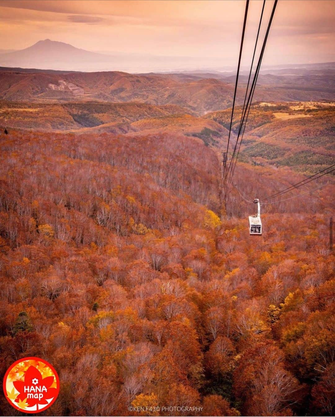 はなまっぷ❁日本の花風景さんのインスタグラム写真 - (はなまっぷ❁日本の花風景Instagram)「🍂🍁はなまっぷの紅葉まつり🍁🍂 * @ken.f430 さんの 紅葉に花まるを💮 * 色とりどりに染まる美しい日本の秋をありがとうございます😊🍁🍂 * 青森　#八甲田山 Mt.Hakkoda Aomori Pref. * 見頃を過ぎている場所もご紹介しています。 お出かけの際はHP等で最新の情報をご確認くださいね🙏🍁 * 🍁•••🍂•••🍁•••🍂•••🍁•••🍂 * 🍂🍁はなまっぷの紅葉まつり🍁🍂 〜紅葉の季節が終わる頃まで #はなまっぷ  のタグの中から、紅葉のお写真をご紹介させていただきます。期間中はランダムに、複数枚投稿でもご紹介させていただく場合がございます。 * #秋#紅葉#風景#はなまっぷ」11月8日 20時26分 - hanamap