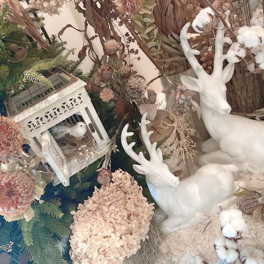 星野麻里愛のグルメインスタ