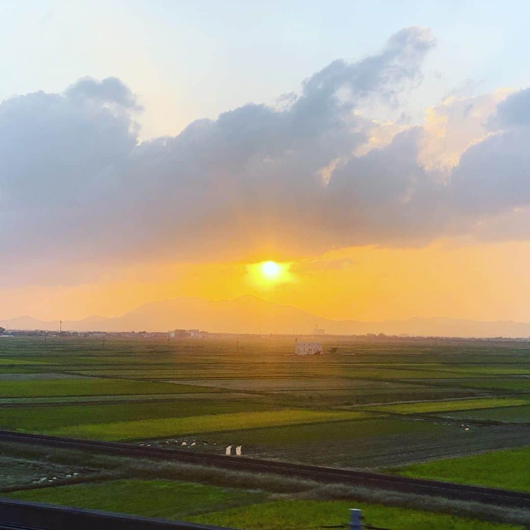 鈴木杏さんのインスタグラム写真 - (鈴木杏Instagram)「新潟公演、無事に終了しました🌈🌈🌈ご来場くださった皆様、エールを送ってくださった皆様、ありがとうございます🙇🏻‍♀️✨客席からのあたたかいエネルギーに包まれながら、楽しくピョンピョン跳ねておりました✨🧚🏻✨聞けば、りゅーとぴあの公演自体が久しぶりだったとか。こんな風に、徐々に演劇が各地で動き出せますように🙏🏻🌈🌈🌈今はまだ、美味しいものをいただいたり、その土地土地を存分に浴びることは許されませんが、公演が出来ることがまずうれしい。いつかまた、、、！！！❤️🧡💛💚💙💜#真夏の夜の夢#原作#ウィリアムシェイクスピア#潤色#野田秀樹#演出#シルヴィウプルカレーテ#新潟#りゅーとぴあ#今回は#紅葉#夏#劇場#裏#蓮池#好き」11月8日 16時17分 - anne.suzuki.official