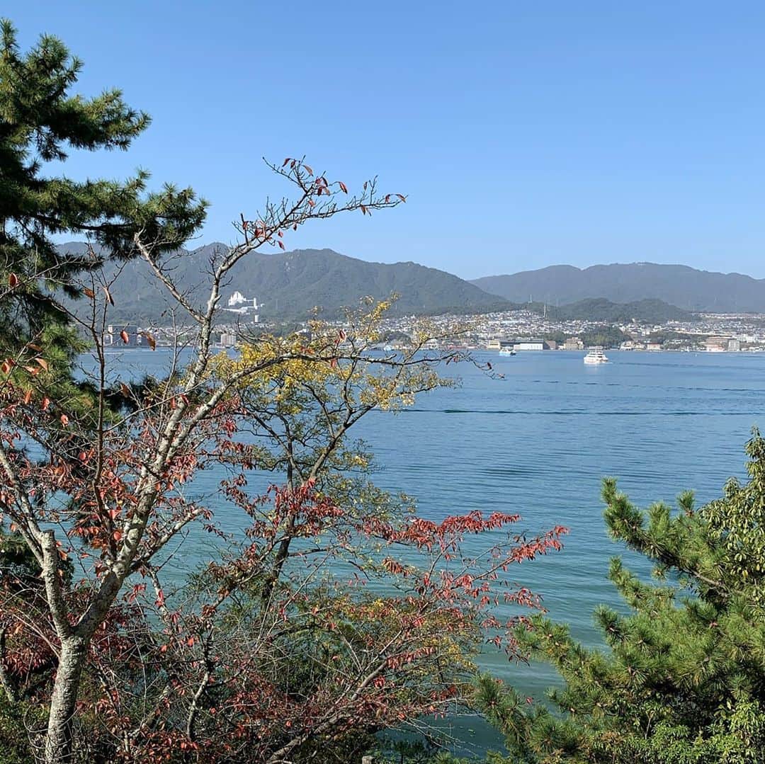中澤裕子さんのインスタグラム写真 - (中澤裕子Instagram)「🍁🍁 この週末は家族旅行 広島へ。  歩いて食べて飲んで。 楽しかった。  #電車に乗ったらカープ号 #ラッキー  #千畳閣 #空気流れ変わる #景色素晴らしい  #今回もロープウェイに乗れず  #実は２ヶ月前も広島家族旅行  #次こそロープウェイ三度目の正直」11月8日 16時17分 - yuko_nakazawa_