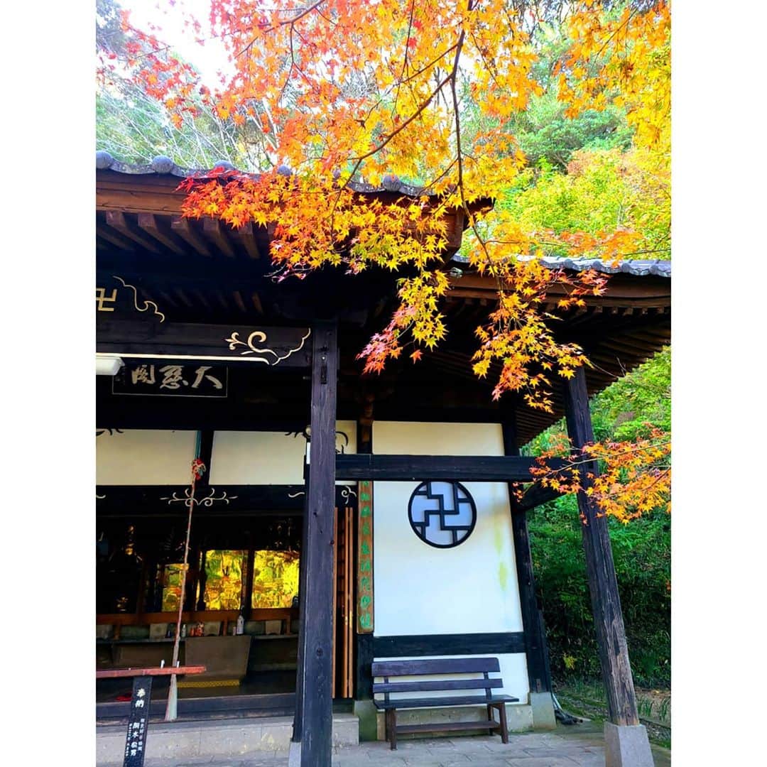 中村まきさんのインスタグラム写真 - (中村まきInstagram)「ビューティーフェスのレポはのちほど。どうしても行きたかった場所に。  ミキティ @arielsekai2_miki が快く『いこうー！』と言ってくれました😭 最高のタイミングに来れた気がします。  ＝＝＝＝＝＝＝＝ ■ご相談・公式LINE＞ プロフィール @buchimaki_1121 から公式LINEまたは、DMからお気軽に！ ――――――――――――﻿  #経営者 #フリーランス #自営業 #中小企業 を対象としたブランド価値を高めて広告費をかけず、 売上を伸ばし顧客獲得を目指す経営コンサルプロデュース。﻿ 　※詳細はプロフィールURLから！ ﻿ ――――――――――――﻿ ﻿． #集客#ブランディング #宮崎サロン#ダイエット #福岡#インフルエンサー #SNS集客#社長#ママ#宮崎美容室#引き寄せ#マーケティング#潜在意識#地方#美容室#痩身#美容サロン#整骨院#愛され女子 #Instagram#潜在意識#宮崎#市場調査#コンサルティング #コンサルタント」11月8日 16時25分 - buchimaki_1121