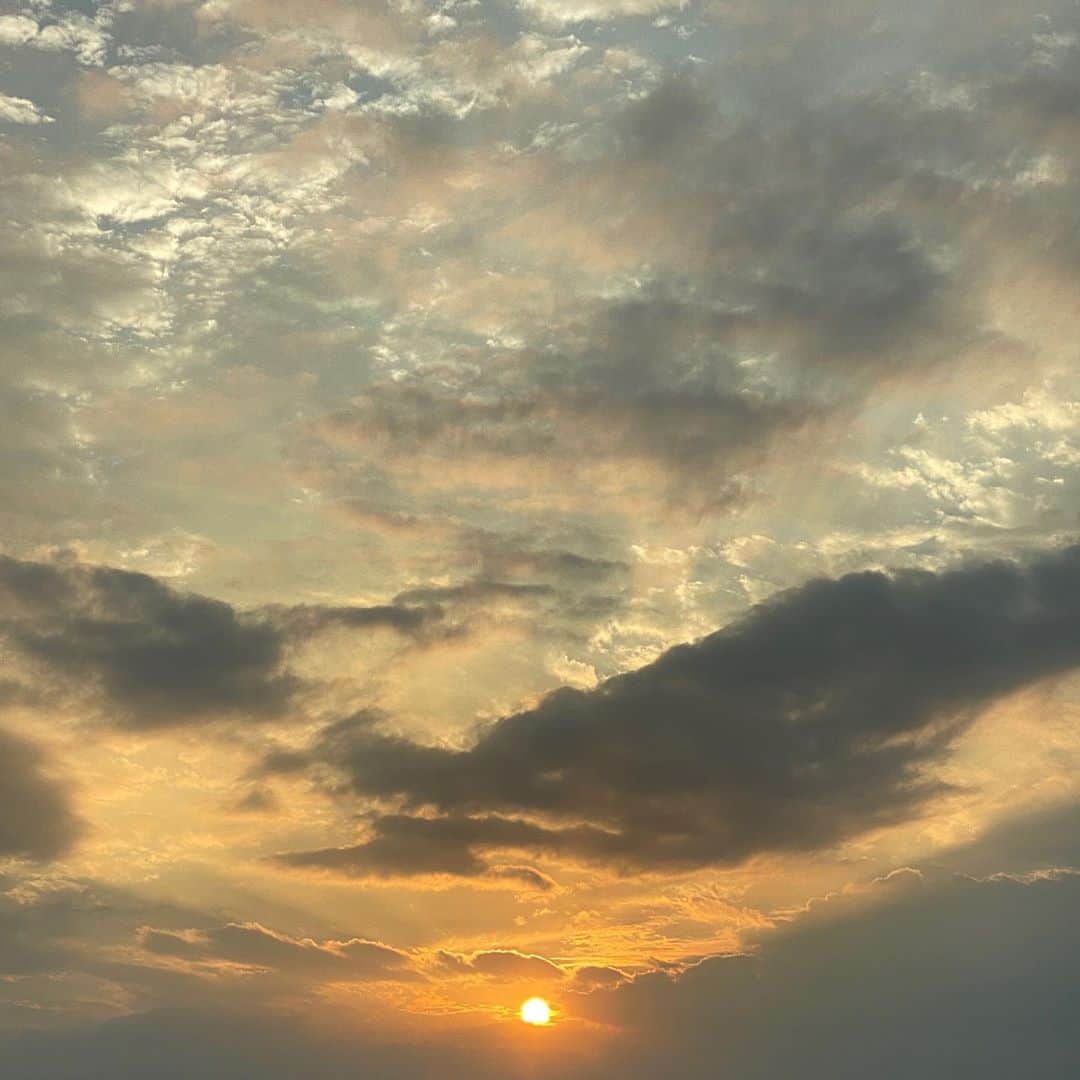 岡田ロビン翔子のインスタグラム：「おさんぽしてるとたまに嘘みたいに綺麗な空に出会えるからすきだな〜夕陽が溶けていく〜」