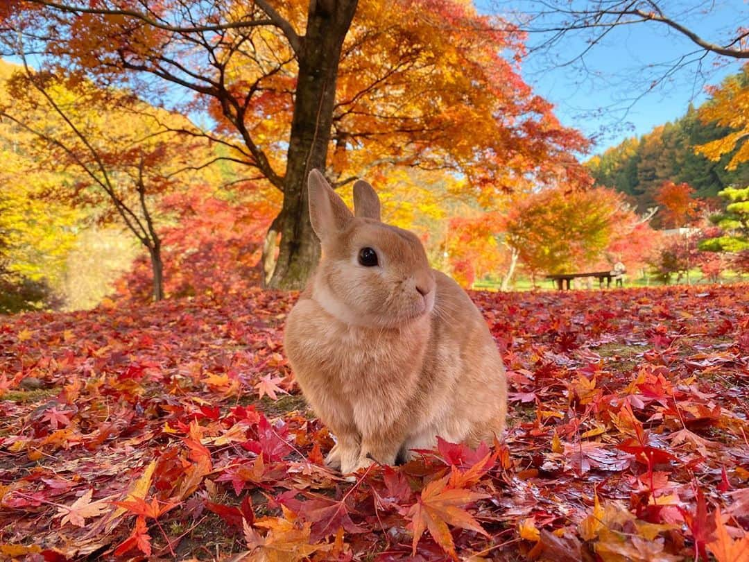 ラン?のインスタグラム