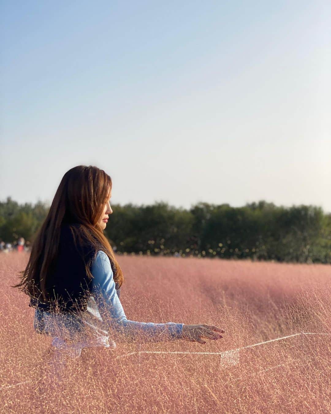 のインスタグラム：「#핑크갈대 #예쁘다 @heart_greaten 도 놀러오고! #즐거웠던 #촬영」