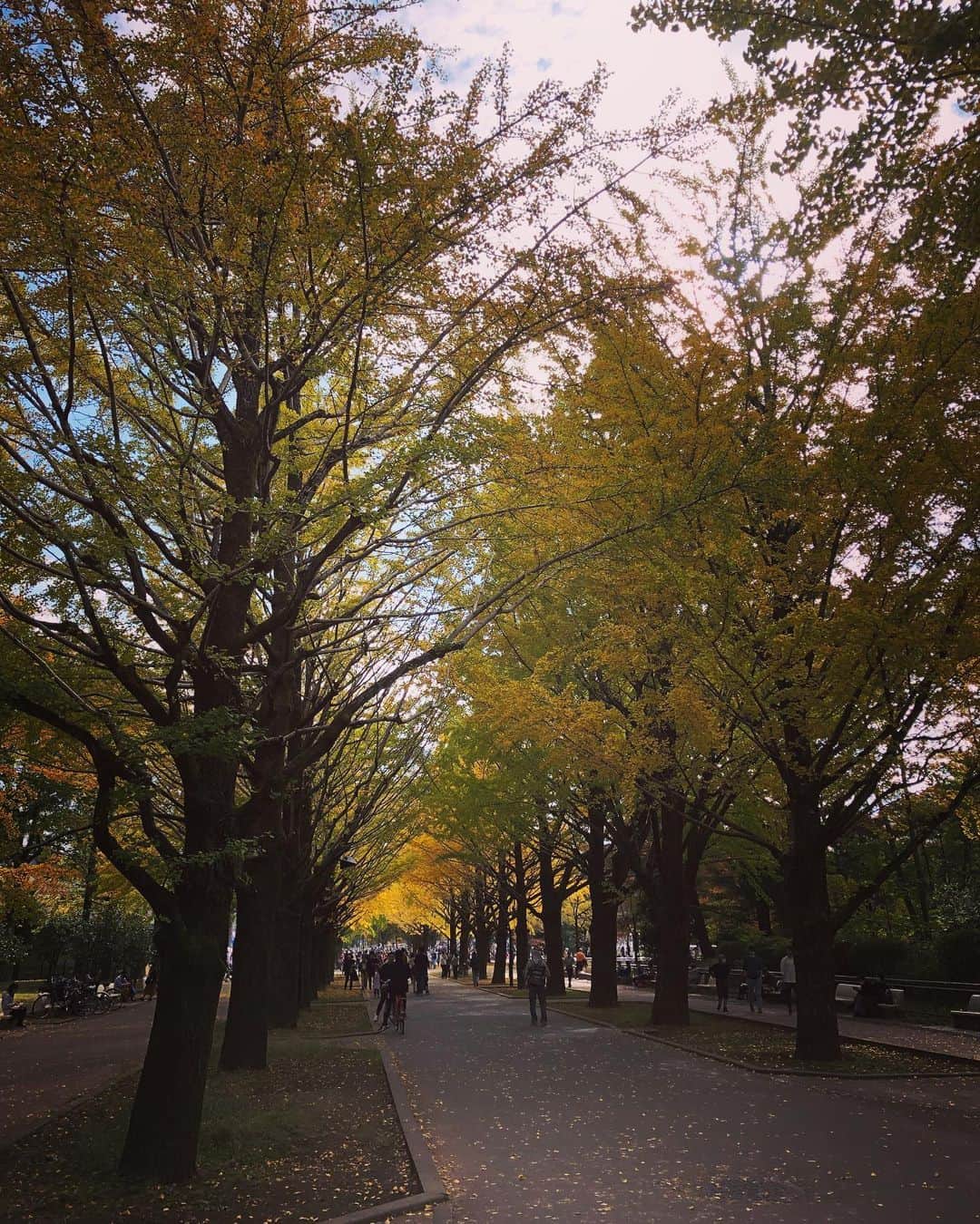 井澤惇のインスタグラム：「公園散歩もいいもんだね。」