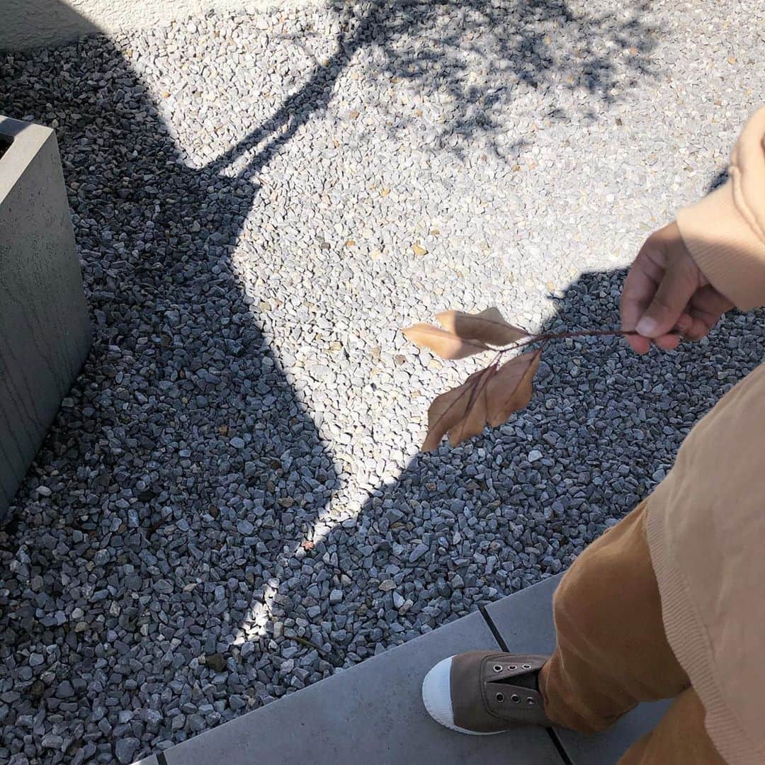 mai_1106のインスタグラム：「2020.11.8 * 🍂🐿 * 3歳11ヶ月 1459days * * *」