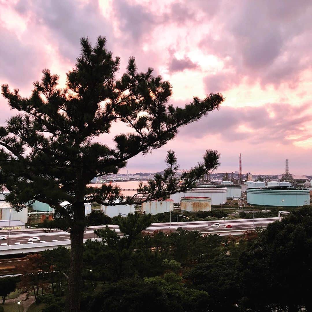島田翼のインスタグラム：「sunset yokohama🌆」