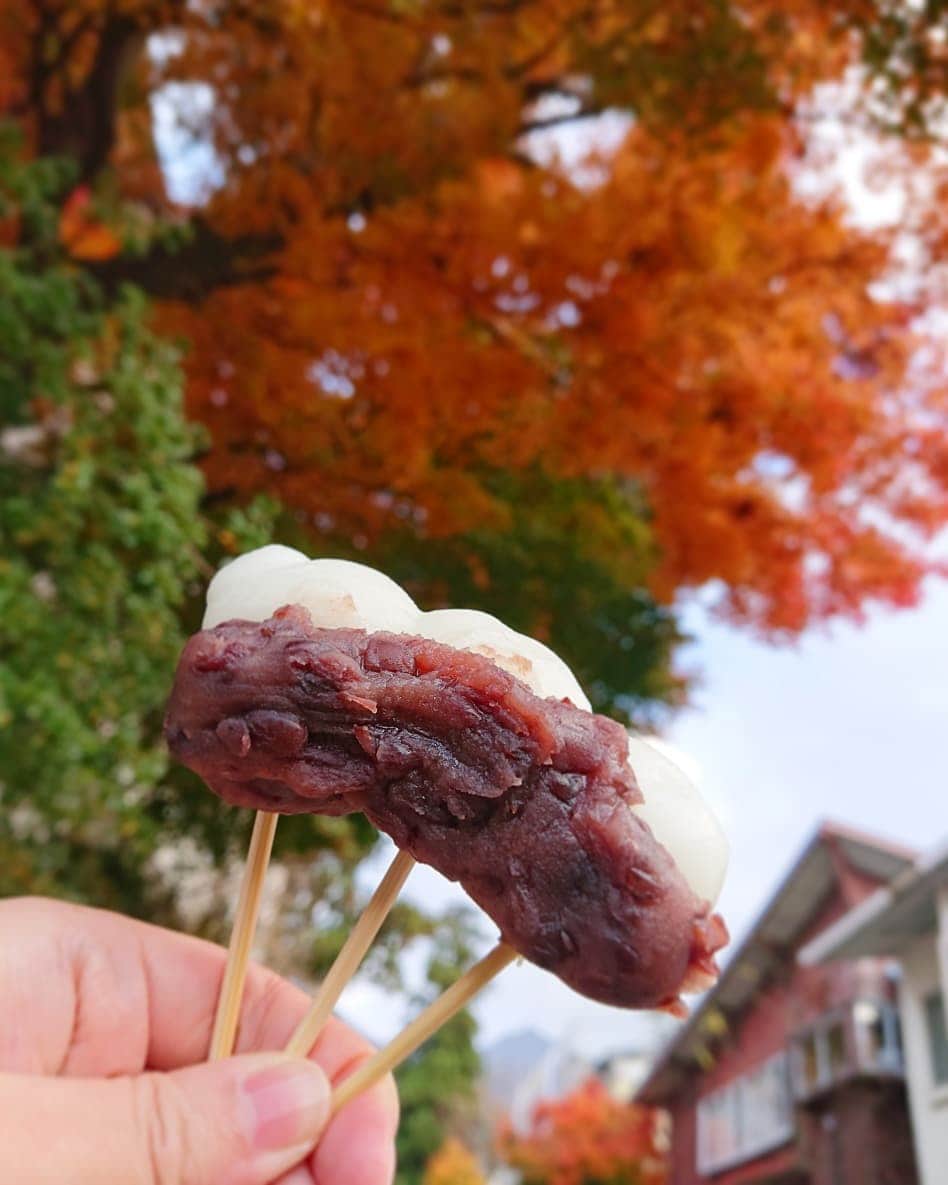 秦まりなさんのインスタグラム写真 - (秦まりなInstagram)「紅葉を見に大山に行ってきました！ あいにく空は曇っていましたが、それでも、色づいた山は見ているだけで癒されますね✨ 娘もにこにこ楽しそうでした✨ . この秋にオープンした『大山時間Shop』さん(@daisenjikan )にも立ち寄りました✨ 権現だんごにジェラート…どちらもとっても美味しかった！！ 鳥取の星空を表現した星取ジェラートが売り切れていたので💦 次回はリベンジしたいなー！ . 立冬を過ぎ、暦の上ではもう冬ですが、深まる秋に癒された一日でした✨ (写真撮影の時だけマスク外しました💡)」11月8日 18時02分 - marina.hata