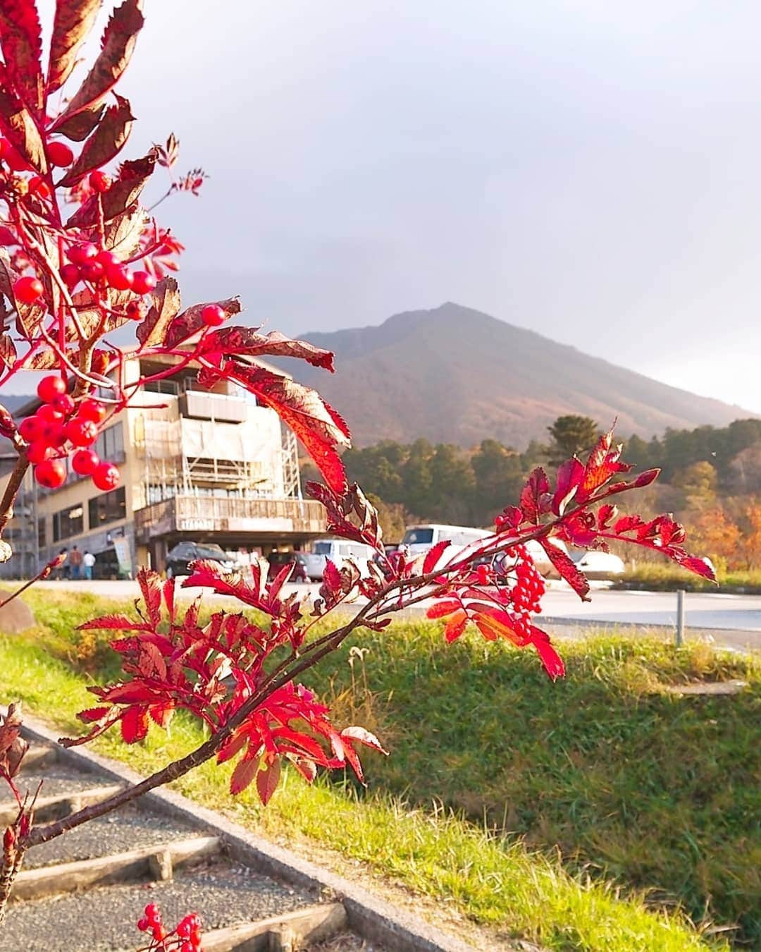 秦まりなさんのインスタグラム写真 - (秦まりなInstagram)「紅葉を見に大山に行ってきました！ あいにく空は曇っていましたが、それでも、色づいた山は見ているだけで癒されますね✨ 娘もにこにこ楽しそうでした✨ . この秋にオープンした『大山時間Shop』さん(@daisenjikan )にも立ち寄りました✨ 権現だんごにジェラート…どちらもとっても美味しかった！！ 鳥取の星空を表現した星取ジェラートが売り切れていたので💦 次回はリベンジしたいなー！ . 立冬を過ぎ、暦の上ではもう冬ですが、深まる秋に癒された一日でした✨ (写真撮影の時だけマスク外しました💡)」11月8日 18時02分 - marina.hata