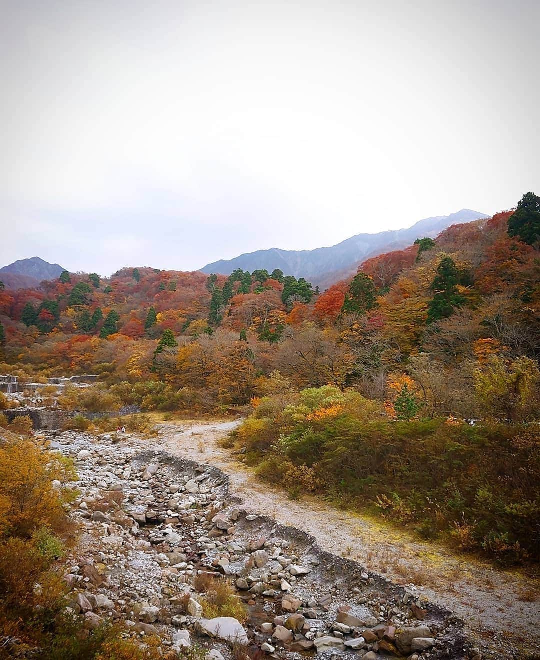 秦まりなさんのインスタグラム写真 - (秦まりなInstagram)「紅葉を見に大山に行ってきました！ あいにく空は曇っていましたが、それでも、色づいた山は見ているだけで癒されますね✨ 娘もにこにこ楽しそうでした✨ . この秋にオープンした『大山時間Shop』さん(@daisenjikan )にも立ち寄りました✨ 権現だんごにジェラート…どちらもとっても美味しかった！！ 鳥取の星空を表現した星取ジェラートが売り切れていたので💦 次回はリベンジしたいなー！ . 立冬を過ぎ、暦の上ではもう冬ですが、深まる秋に癒された一日でした✨ (写真撮影の時だけマスク外しました💡)」11月8日 18時02分 - marina.hata
