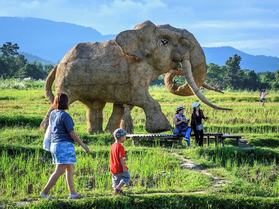 AFP通信さんのインスタグラム写真 - (AFP通信Instagram)「AFP Photo 📷 @torbalancho - Giant straw animal sculptures in an amusement park on the shores of Huay Tueng Thao lake -」11月8日 18時33分 - afpphoto