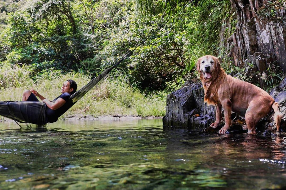 エディ・ポンさんのインスタグラム写真 - (エディ・ポンInstagram)「Be a #Wonderfool #wondertrip #man #dog #explore #dare #wonder @ed_wonder」11月8日 18時33分 - yuyanpeng