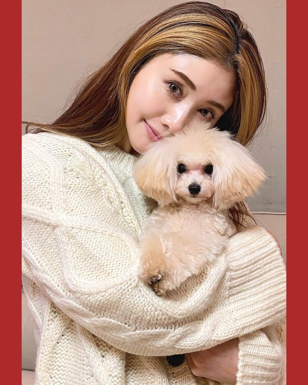 一木美里さんのインスタグラム写真 - (一木美里Instagram)「𝒇𝒍𝒖𝒇𝒇𝒚 🐾🤎🎁  knit @nugu__official   #mydog#lara#cutedog#poodle#fluffypuppy#fluffydog#トイプードル#トイプー#犬のいる暮らし#nugu#コーデ#ニット」11月8日 18時38分 - misato_ichiki