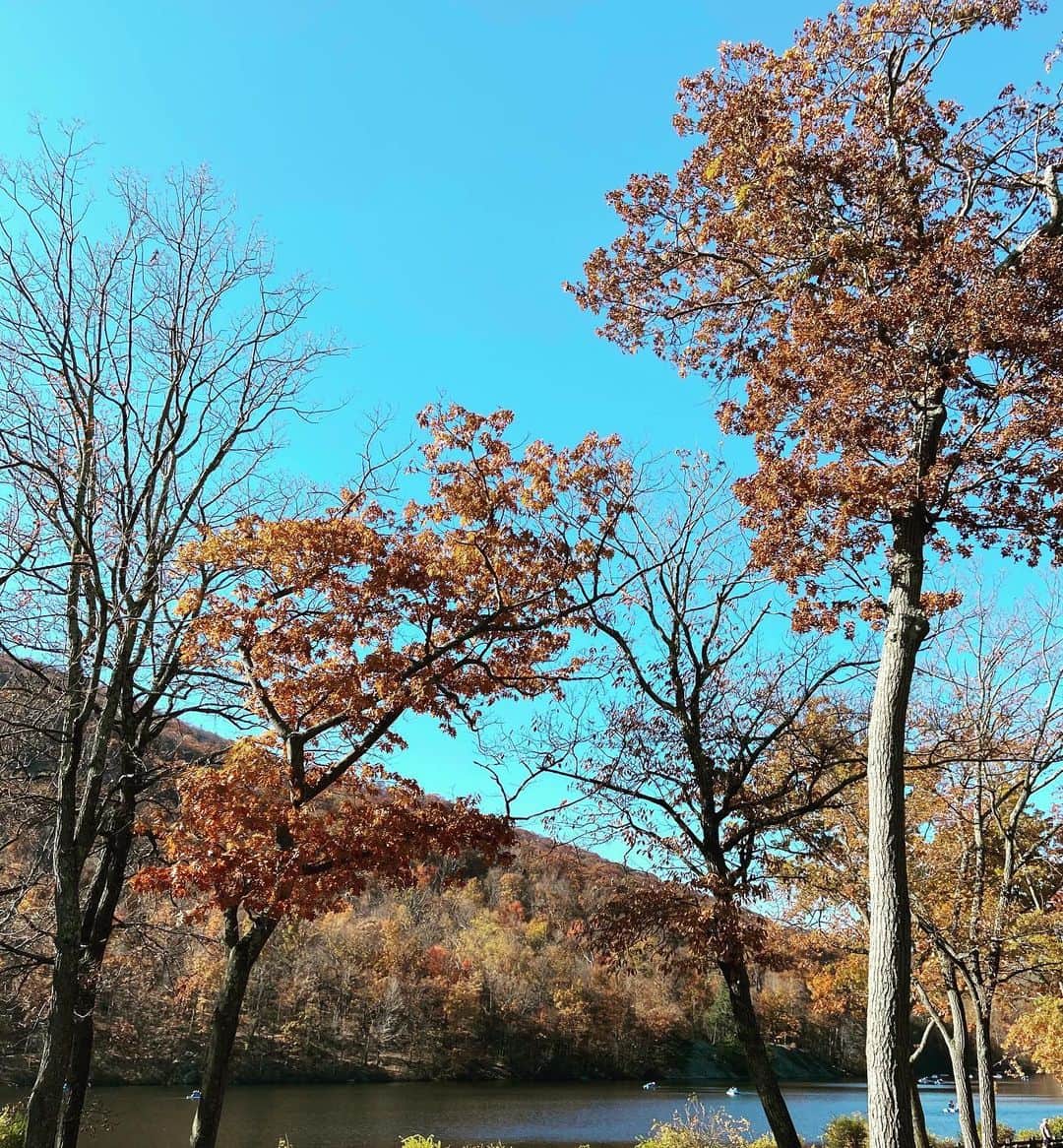 ソン・テヨンさんのインスタグラム写真 - (ソン・テヨンInstagram)「: #가을 의 끝자락....」11月9日 5時36分 - sontaeyoung_official