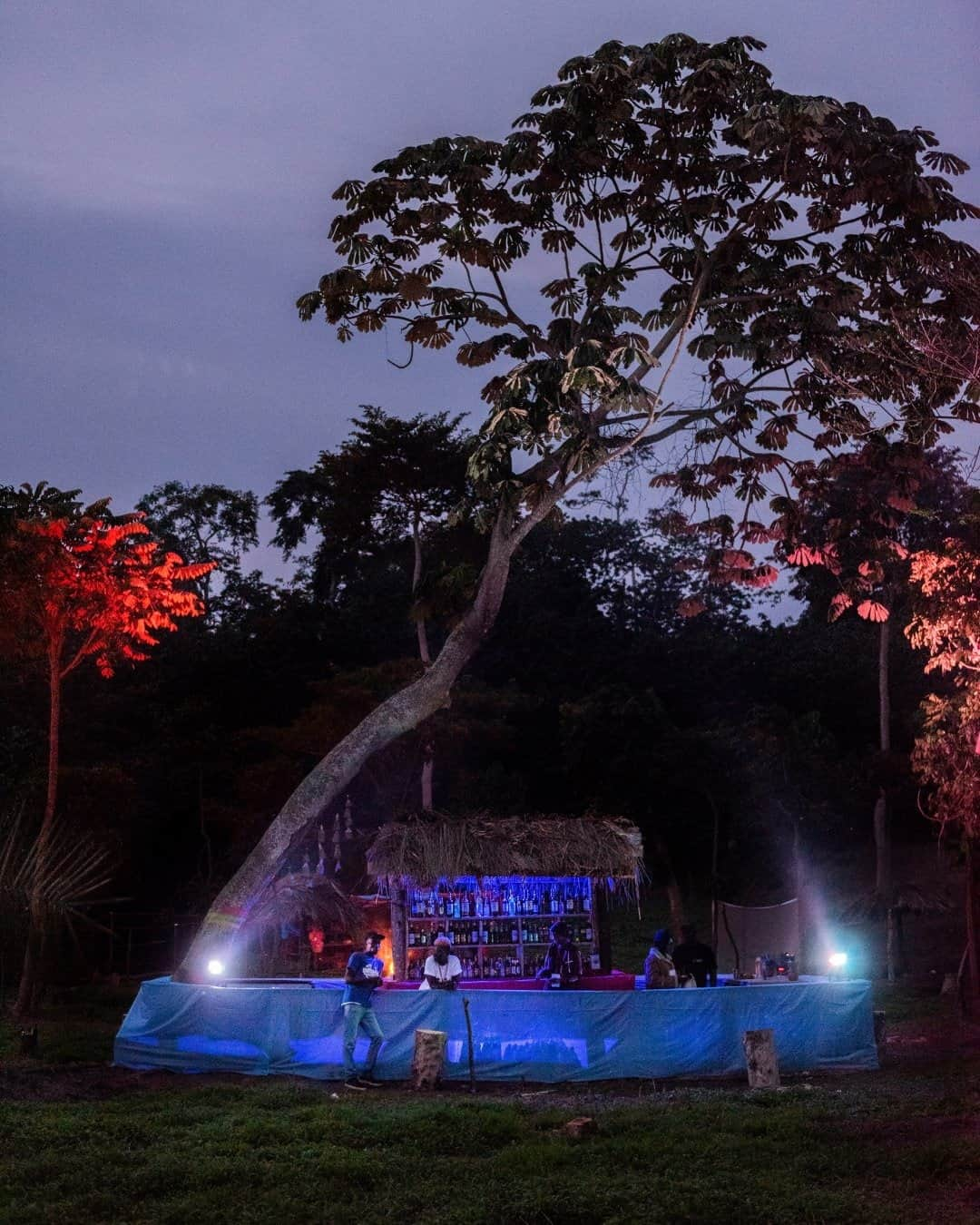 ナショナルジオグラフィックさんのインスタグラム写真 - (ナショナルジオグラフィックInstagram)「Photo by @noralorek / On the shore of Lake Victoria, a two-hour drive from Uganda's capital, Kampala, the roads turn into piers and bridges that take you to Lunkulu island, the home of Bayimba Festival. The festival of arts launched in 2008 in central Kampala, but two years ago Bayimba got its own space, free from the limits of the city.   I've documented festivals all over the world for 12 years, and it’s been wonderful to see how much these cultural events and all of us have in common, no matter if on an island near the equator or at a farm near my home in Sweden. This year COVID-19 put all of it on hold—and the lack of art reminds us more than ever how much we need it.」11月9日 4時36分 - natgeo