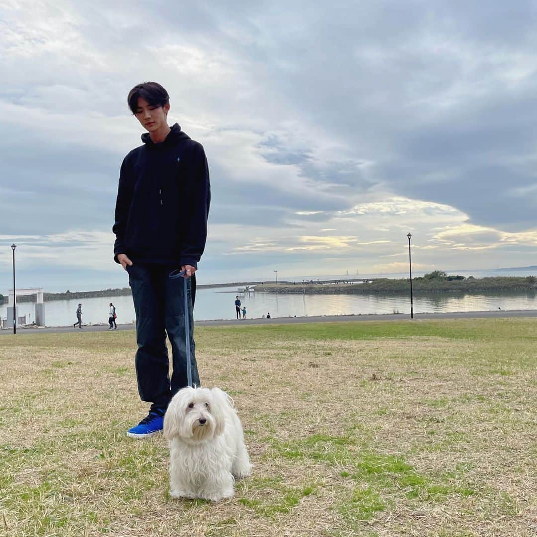 NOA（ノア）さんのインスタグラム写真 - (NOA（ノア）Instagram)「HAPPY BDAY TO MY BROTHER LAFFY🐶🐾🎊 11/7  初のリュックに入っての遠出🤣」11月8日 20時51分 - n_o_a_3_