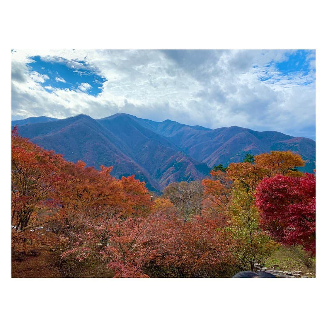 平岡映美さんのインスタグラム写真 - (平岡映美Instagram)「『今年も、秋ありました😊🍁』 ・ #平岡映美 #秋見つけた  #感謝」11月8日 21時11分 - eimi_hiraoka_official