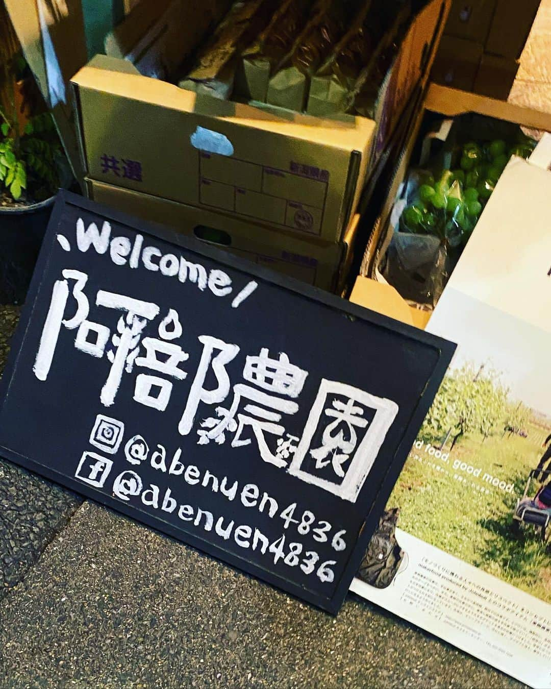 谷川じゅんじさんのインスタグラム写真 - (谷川じゅんじInstagram)「good food, good mood, good neighborhood. 秋の散歩と阿部農園。リトルナップロースターで明日まで。阿部農園さんpop upやってます。ぶどうも新米も新潟から。#goodfoodgoodmood #goodneighbors #goodvibesonly #thisisjapan #mutsulannsora」11月8日 21時07分 - junjitanigawa