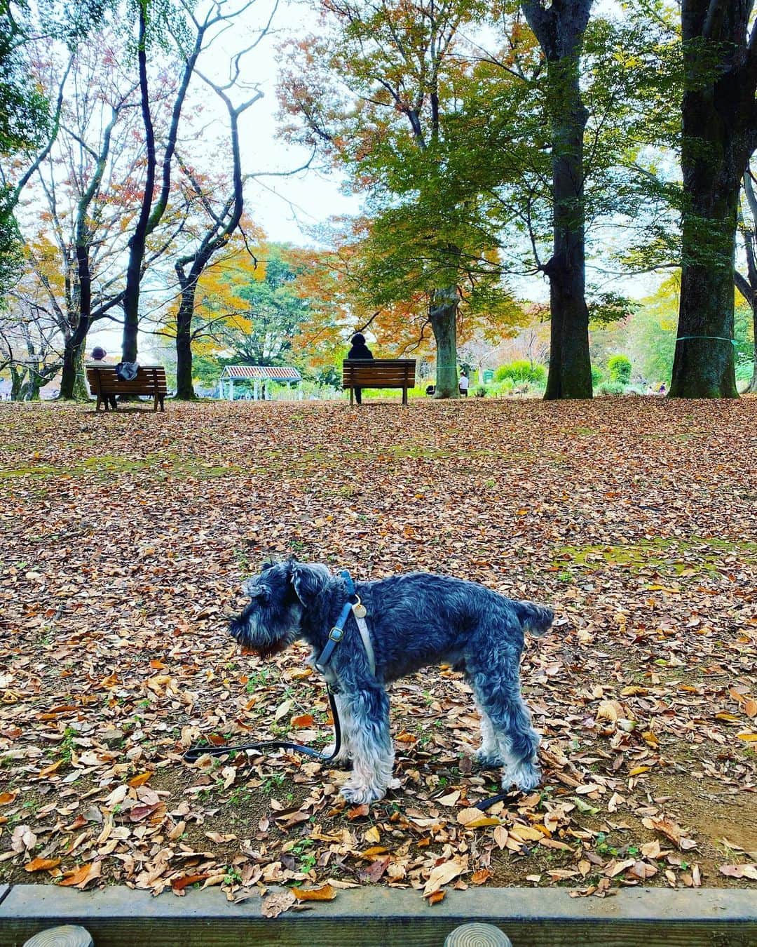 谷川じゅんじのグルメインスタ