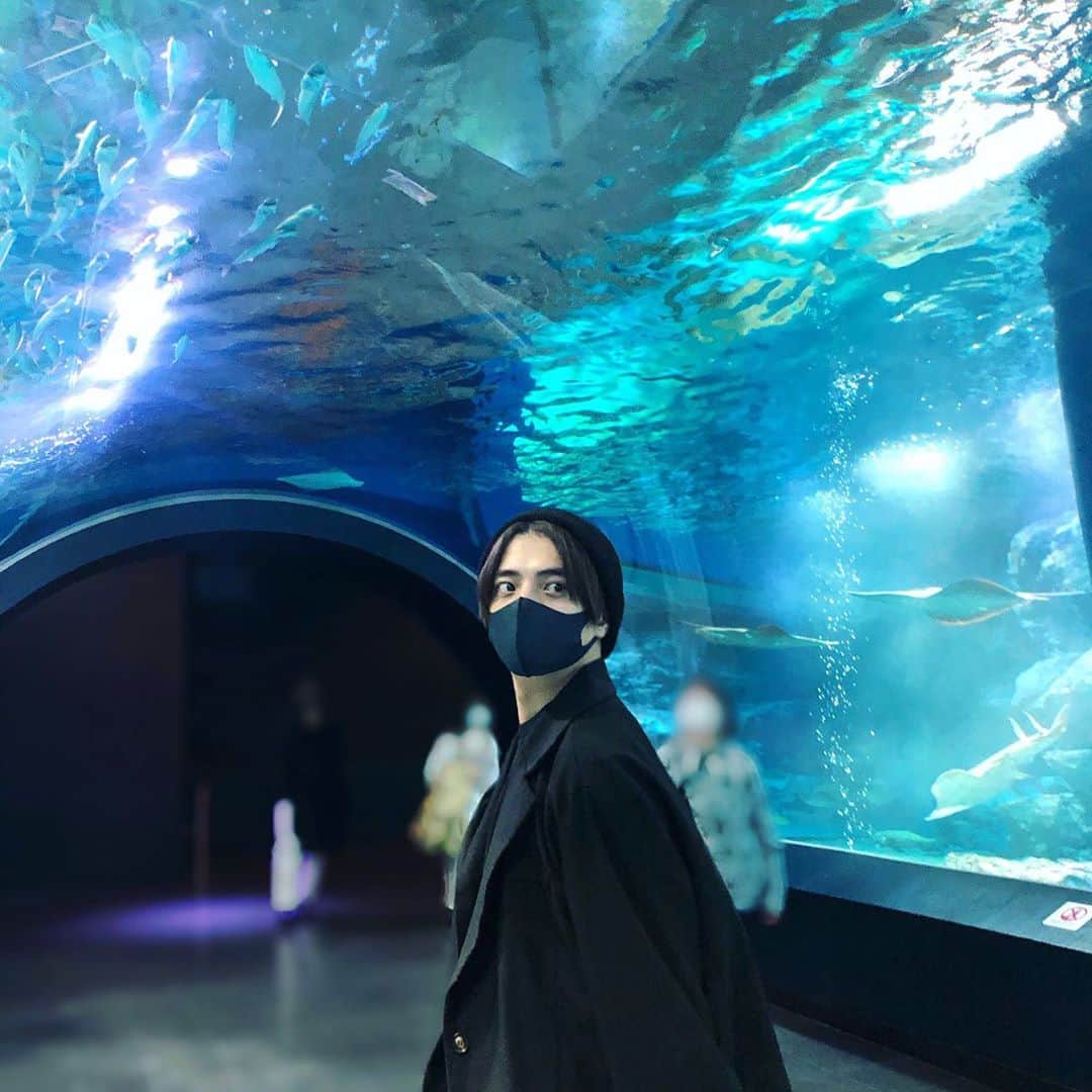 早瀬慧さんのインスタグラム写真 - (早瀬慧Instagram)「水族館 PART2  クラゲが好きです。 パソコンのホーム画面クラゲです。  クラゲと写真撮るの忘れた泣」11月8日 21時14分 - hayase_kei