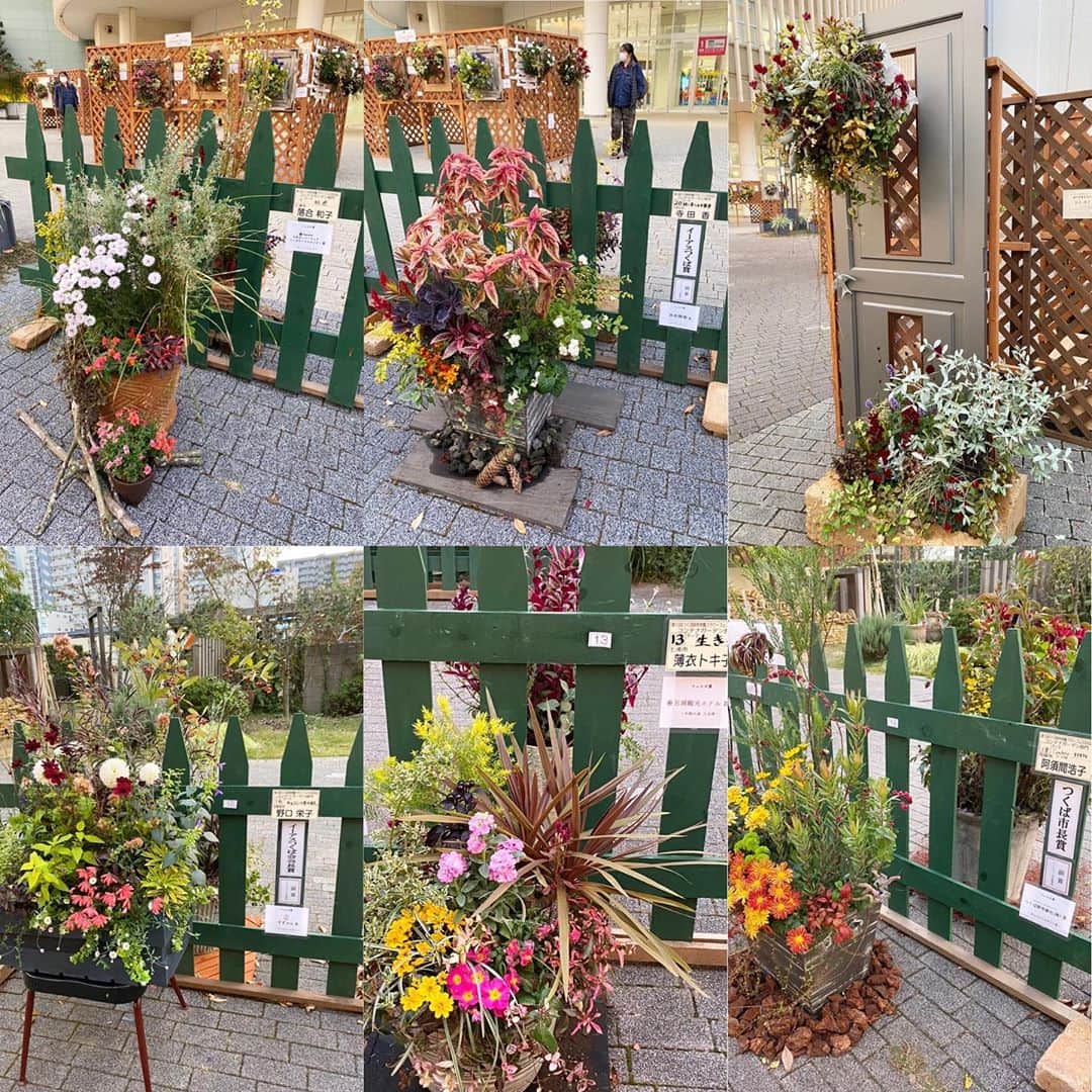 青山大人のグルメインスタ