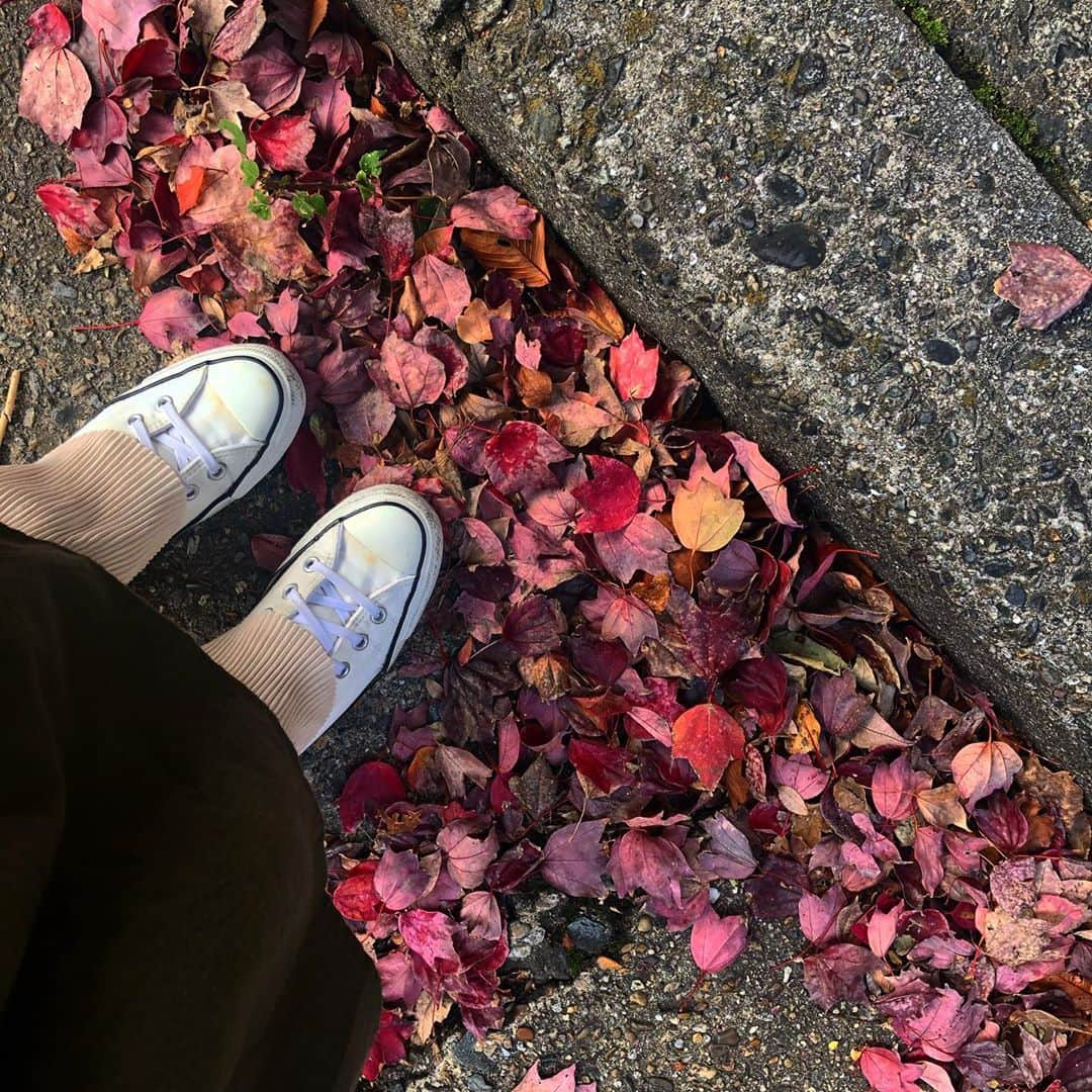 gracenailfactoryさんのインスタグラム写真 - (gracenailfactoryInstagram)「/// あらぁ もうこんな季節ですか 🍁🍁🍁  #11月ネイル  . . . ◗はじめてのお客様へ TOPページURLに クーポンがございます  ◗年末年始の休暇 12/31〜1/4  ◗ Instagram DMでも ご予約お問い合わせ可能です◎  ‭05013623175‬  定休日/月・木 11:00-20:30（最終受付18:30）  #グレースネイルファクトリー #大阪堀江 #堀江ネイル　 #大人ネイル #育爪　 #ショートネイル #カジュアルネイル #ニュアンスネイル　 #フィルイン #ウォーターケアのあるサロン　 #フットネイル　 #ミラーネイル　　 #堀江ネイル #マグネットネイル #クリアネイルアート #マットネイル #フットネイル #40代ファッション #30代ファッション #20代ファッション」11月8日 21時27分 - gracenailfactory