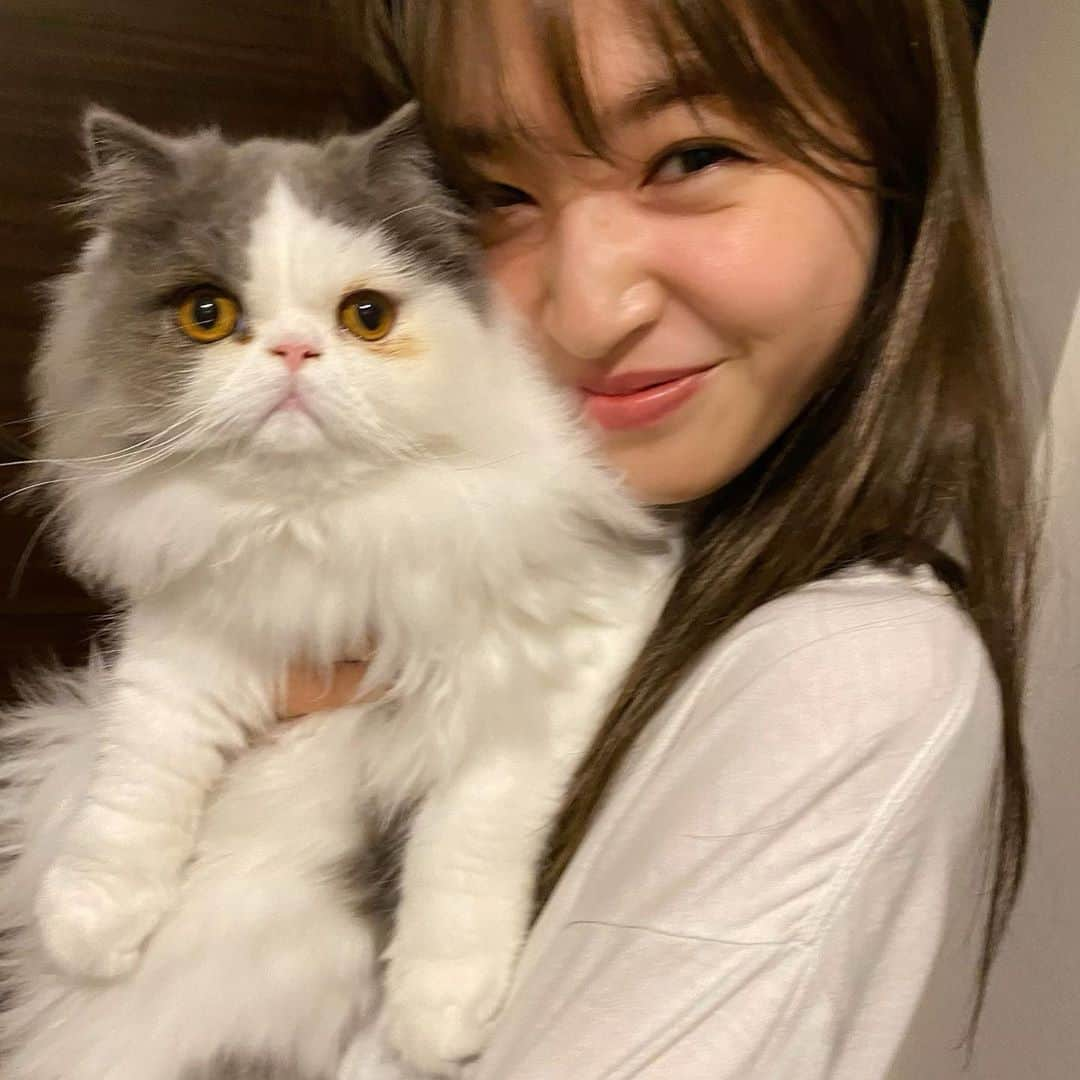 上西星来さんのインスタグラム写真 - (上西星来Instagram)「﻿ 私の周りでみーたん人気がすごい😽♡﻿ 癒し！！！」11月8日 21時34分 - seira_jonishi_tpd