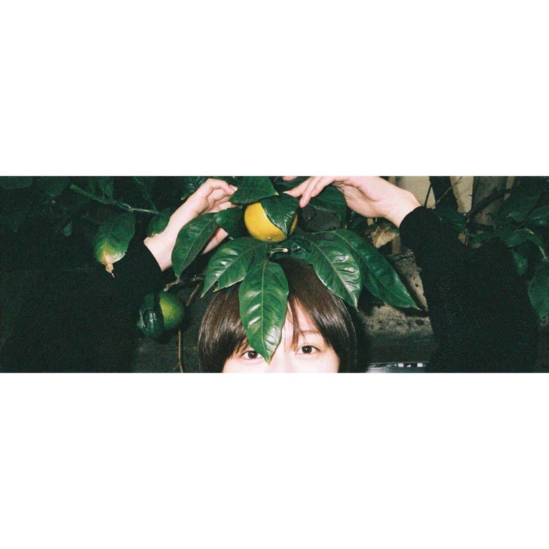 大島涼花のインスタグラム：「📸 @yokoyamayui_1208   #film #filmcamera  #filmphotography」
