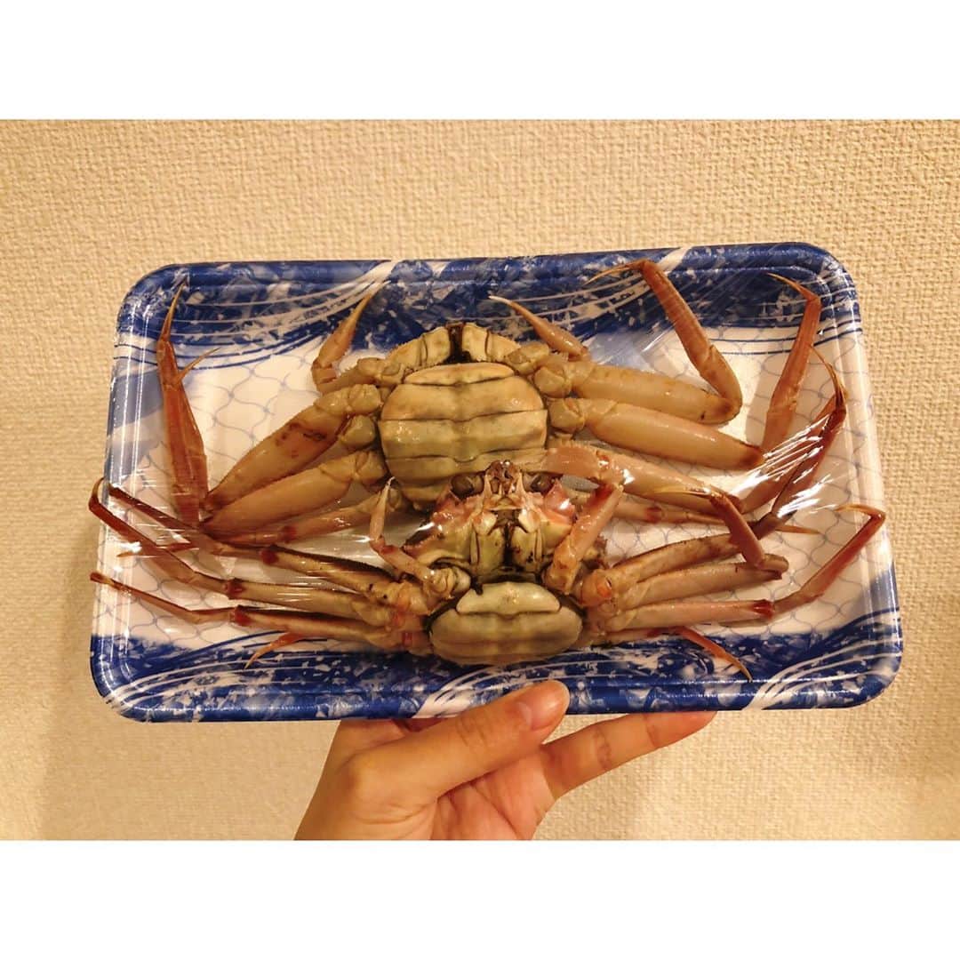 南條早紀さんのインスタグラム写真 - (南條早紀Instagram)「香箱ガニ🦀 . 11月6日、ズワイガニ漁解禁✨ 今年も待ってました❤️ . 今年はいつ食べられるかな…とおもっていたら なんと！生のズワイガニのメスを スーパーで2杯500円でゲット🥺✨ . カニ茹でたことないし、ちょっと戸惑ったけど 安さに負けて連れ帰りました！ . . 常温の水1.5ℓ＋大さじ1.5の塩で 常温から茹でて、ちょっと冷まして 麺棒でゴリゴリ身を取り出して完成🥺 . はじめてにしてはよくできた！ （自画自賛） . . さすがズワイガニ。 メスの細い腕の身でも、甘味と旨味が しっかり感じられて美味しい！ 香箱ガニならではの 外子のプチプチと、内子の独特の食感。 味わえる蟹味噌…。 . このカニの美味しさを 自宅で500円で味わえるって、 富山すごくないですか？😭 日本海側に住む特権だなと思います！ カニ好きには堪らなさすぎる！！ . . 寒くなるのも晴れの日が減るのも 悲しい時期だけれど笑、 寒くなる季節だからこそ出会える 富山の味覚を毎年楽しみにしています☺️ . . 富山に住んでいてよかった💓 と改めて思える瞬間😊 . . みなさまもスーパーで見かけたらぜひ！笑 . . #富山県 #富山市 #富山 #toyama #カニ #蟹 #かに #crab #🦀 #ズワイガニ #メス #香箱ガニ #せいこがに #ずわい蟹 #富山グルメ  #日本海 #富山湾 #ズワイガニ解禁  #海 #海の幸 #カニ大好き #蟹料理 #日本酒 #日本酒で乾杯 #幸せ #おうちごはん #富山大好き #アナウンサー #南條早紀 #なんじょうのにちじょう #🦀」11月8日 21時49分 - nanjo_saki
